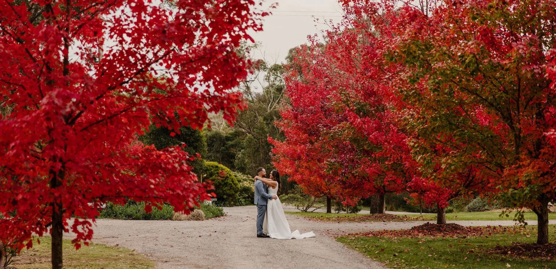 A couple embracing on a path lined with vibrant red autumn trees.