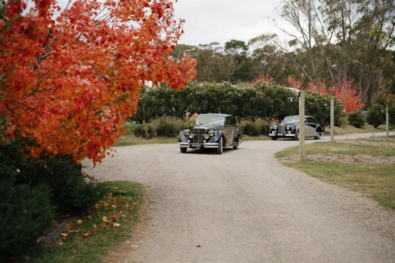 Classic cars driving on a gravel road through a park with vibrant autumn foliage.