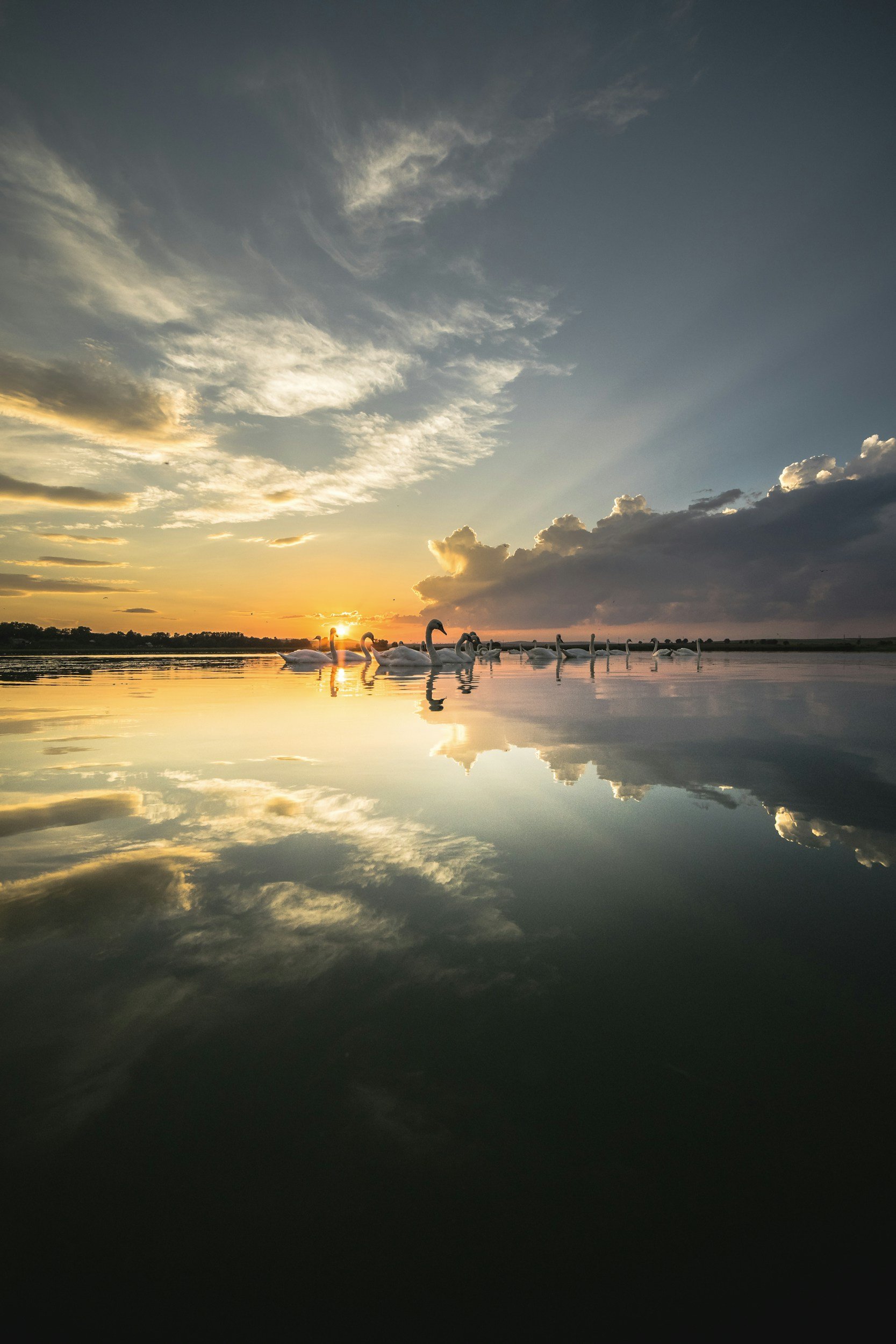 Self-Reflection &amp; Personal Growth