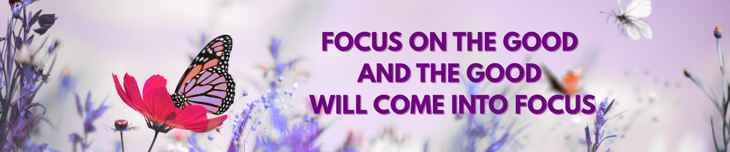 A butterfly on a pink flower with purple and white flowers in the background and the text 'Focus on the good and the good will come into focus' in purple.