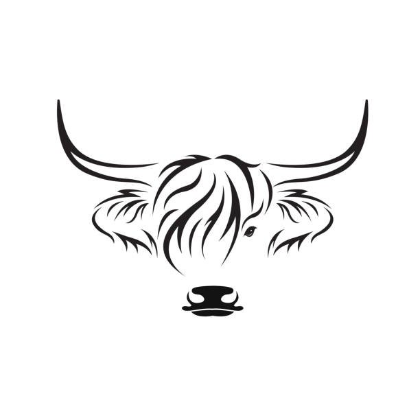 Welcome to bigredcoo