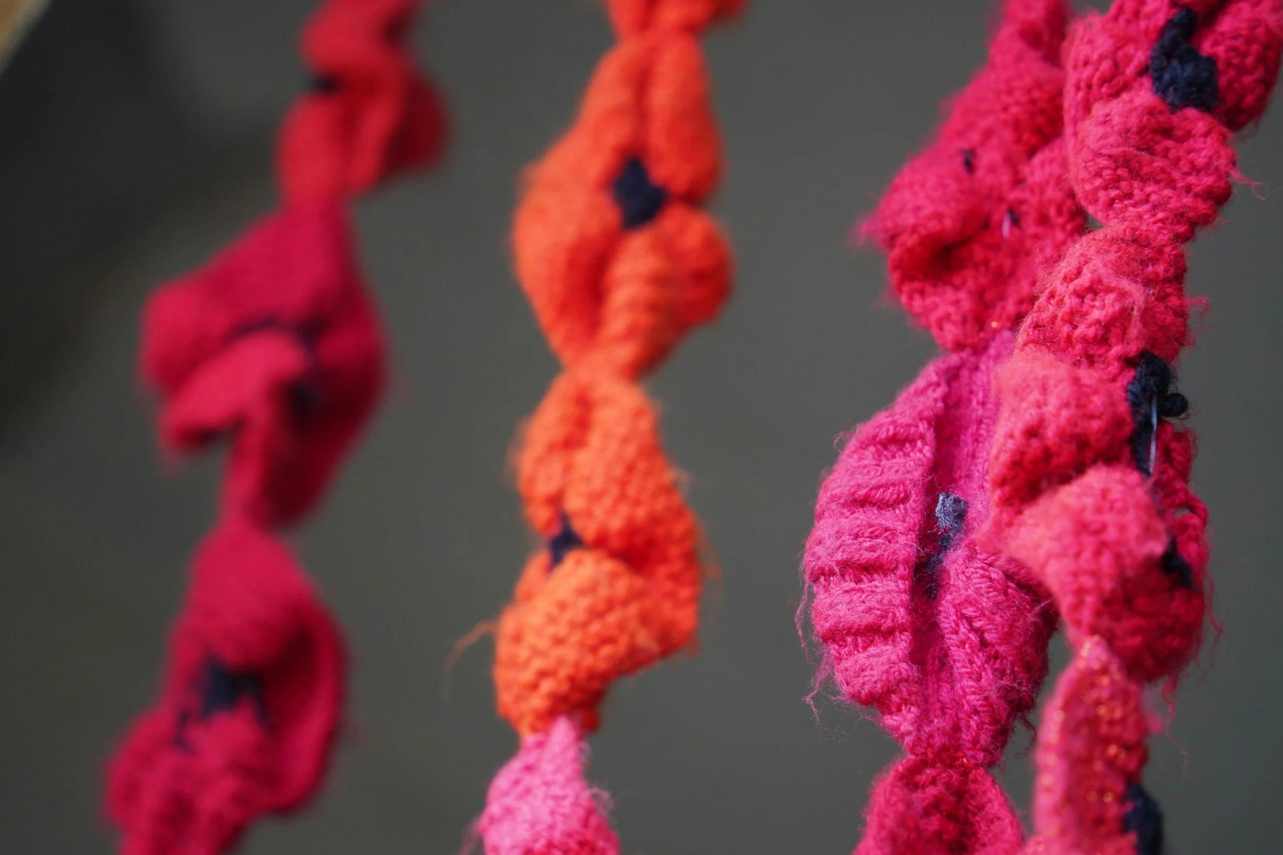WG Poppy Cascade Project