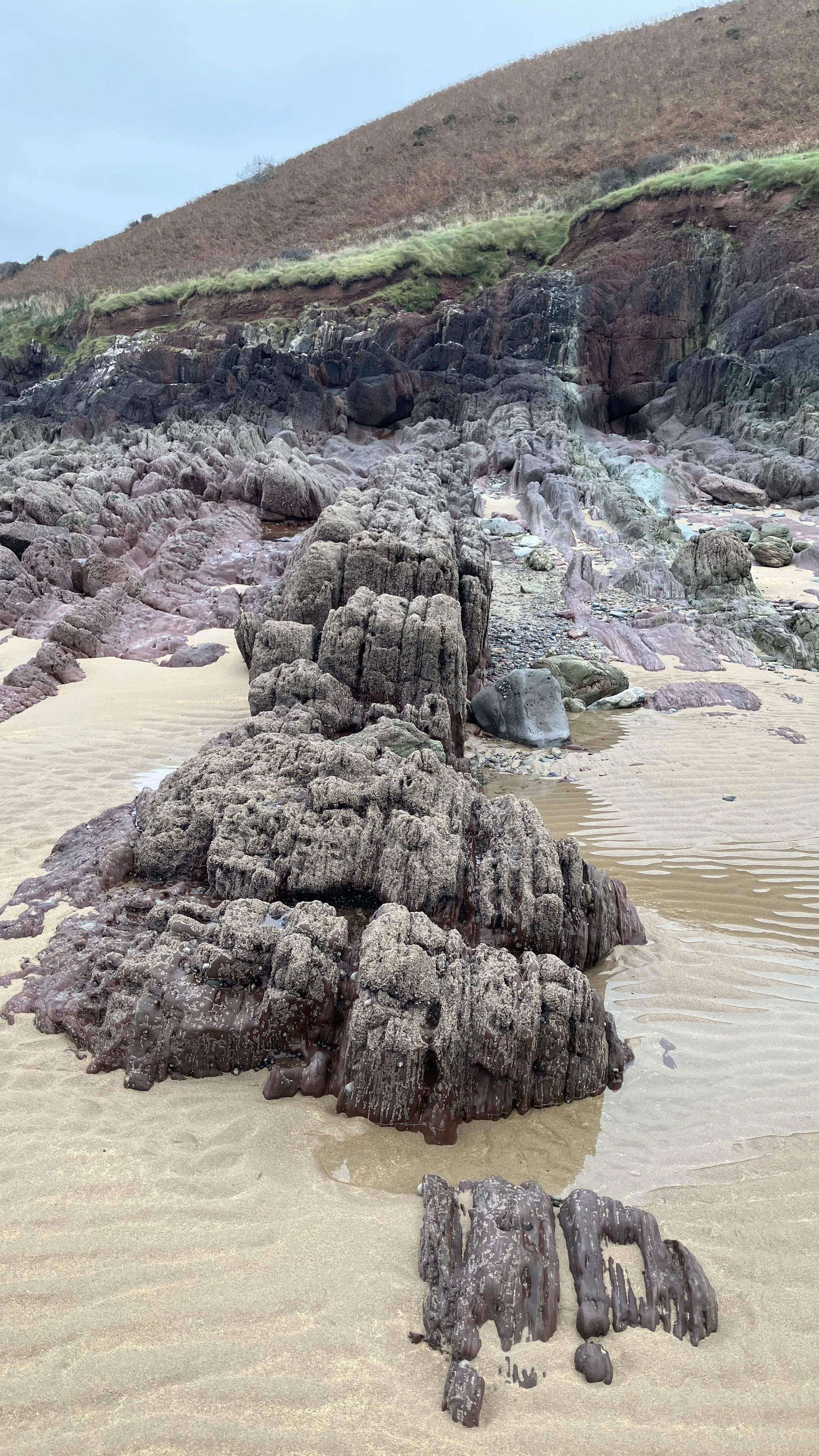 Norman – “Coastal Rock Formations”