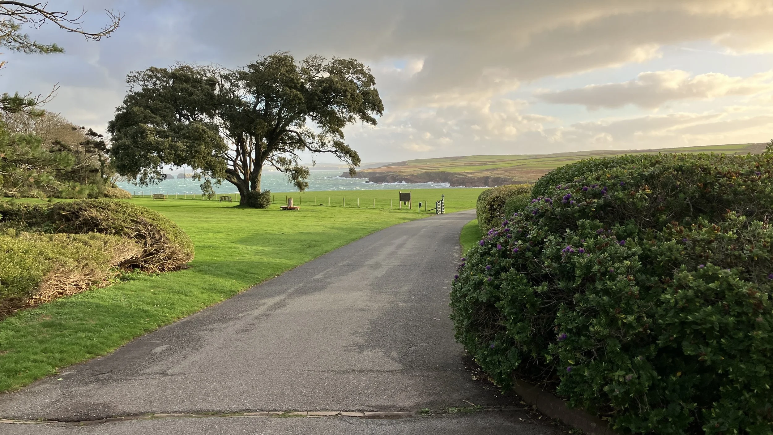 Path to the Sea – by Norman Fuggle