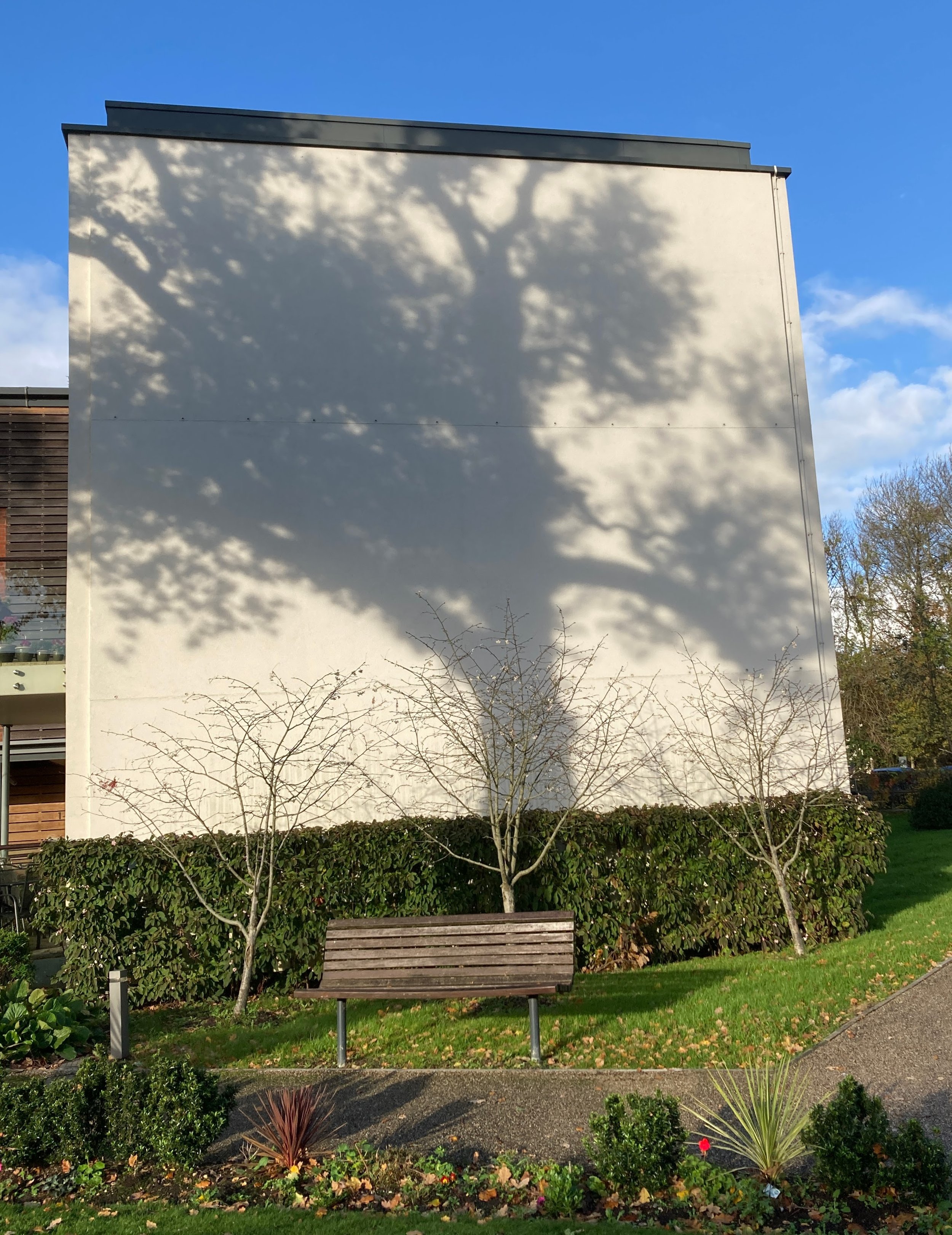 Sue Warren – “Shadow Play”