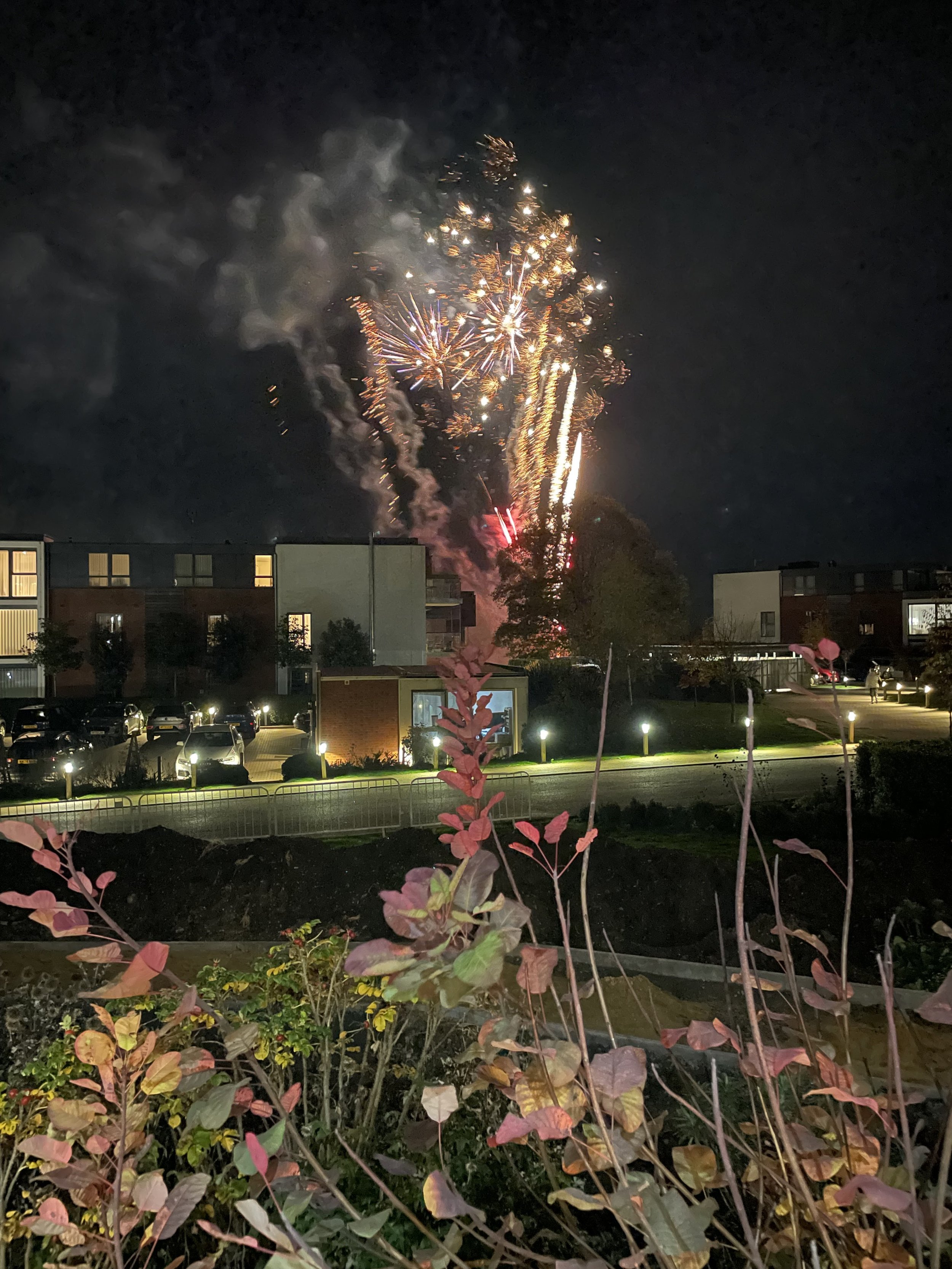 Diana Ross – “Fireworks Over Wadswick”