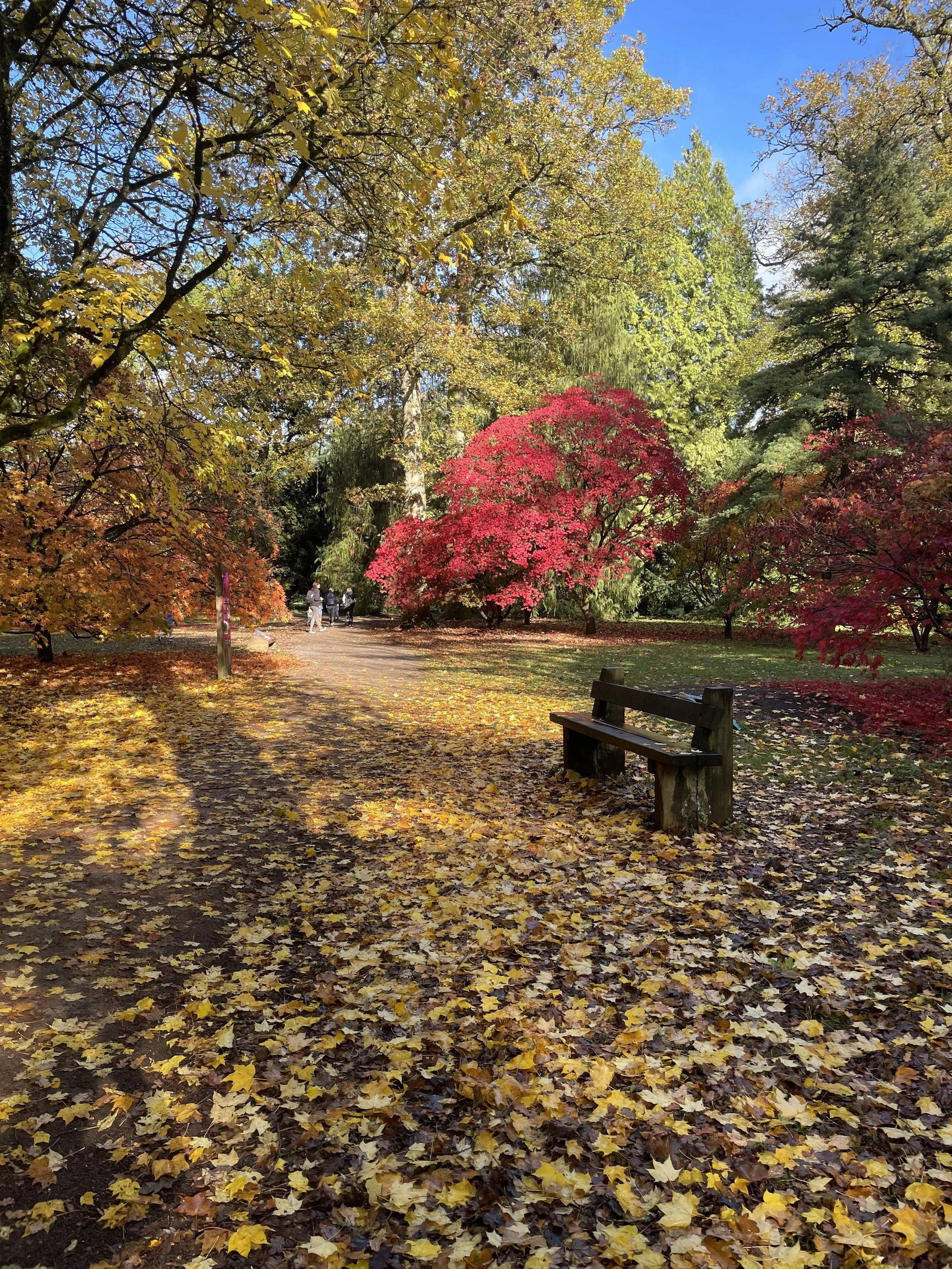  Diana Ross – “Autumn Walk”