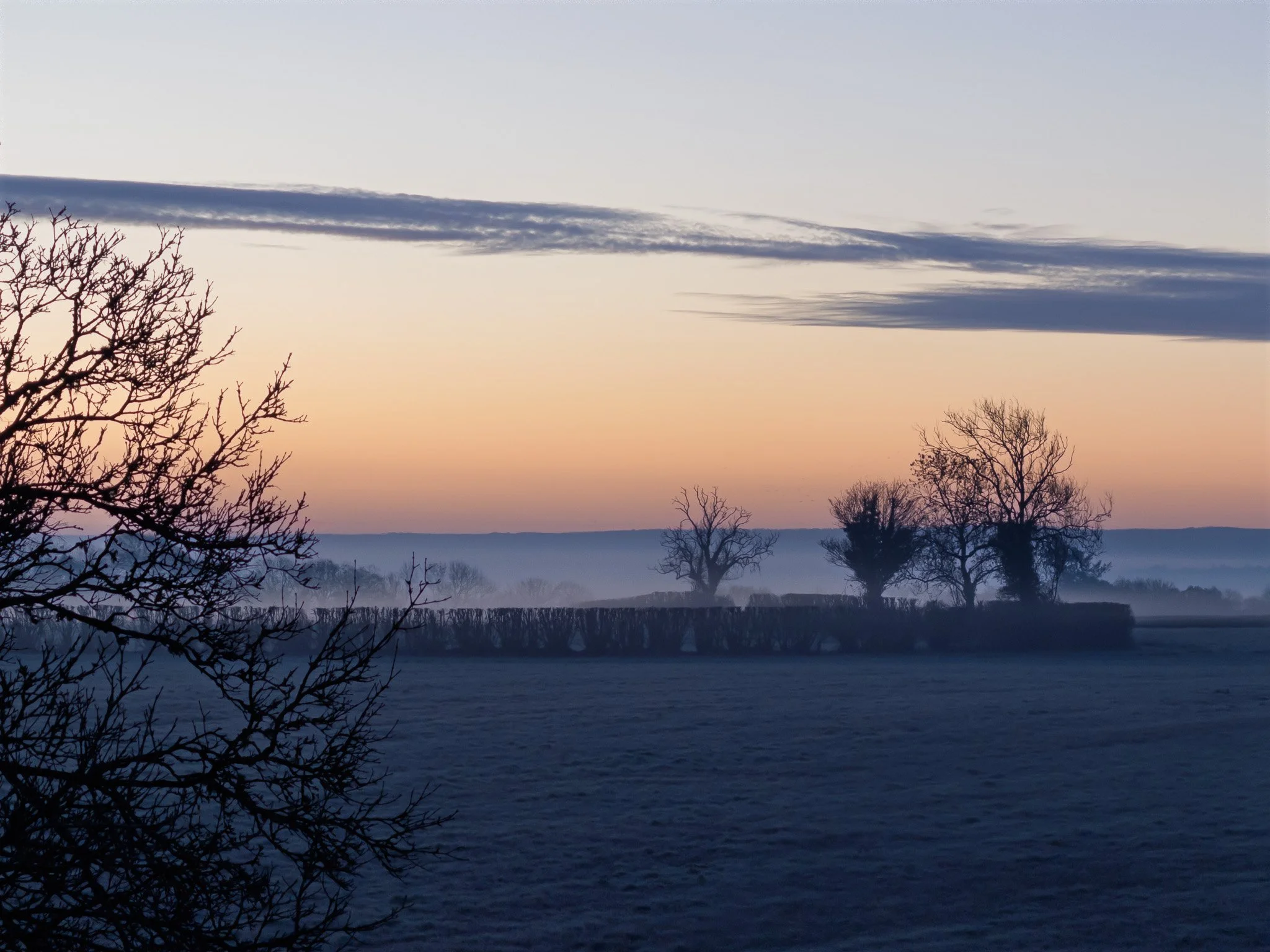 Vic Steadman – Winter Trees, Frosted Dawn (Colour)
