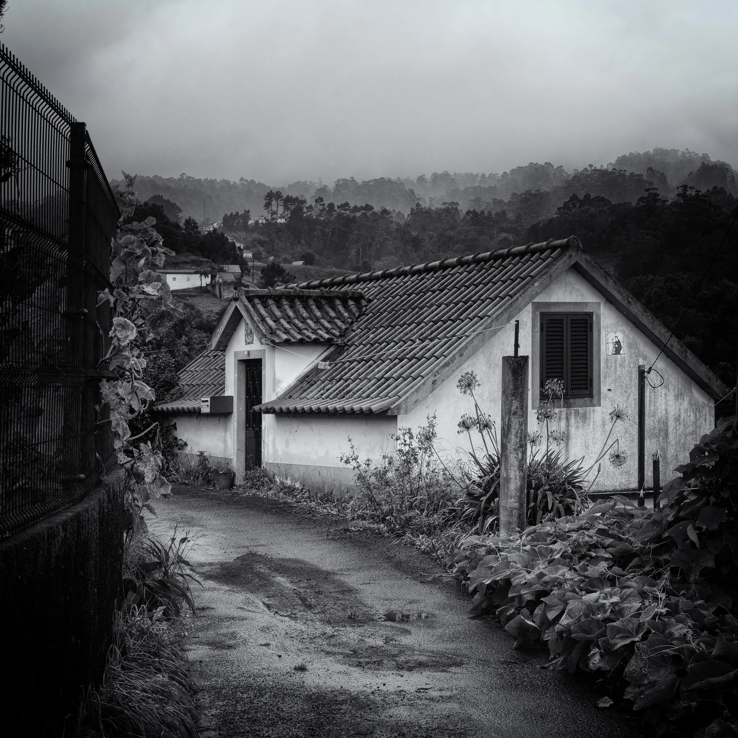 “Rainy Lane” — Tim Ravenscroft