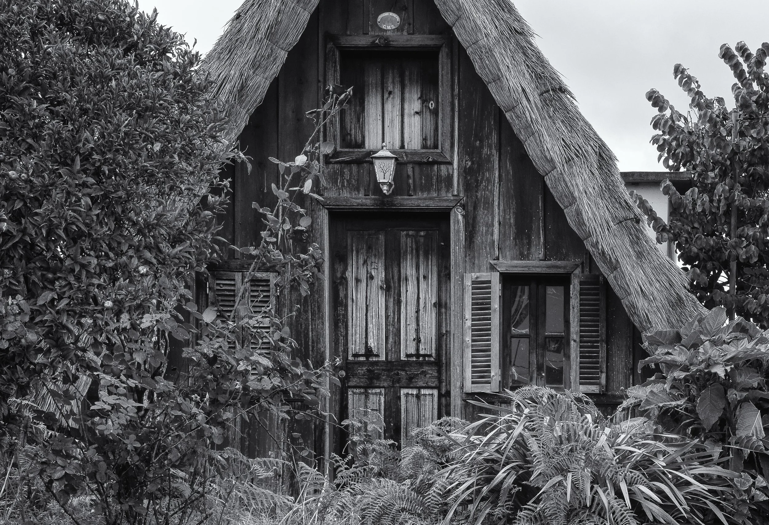 “Cabin in the Wild” — Tim Ravenscroft