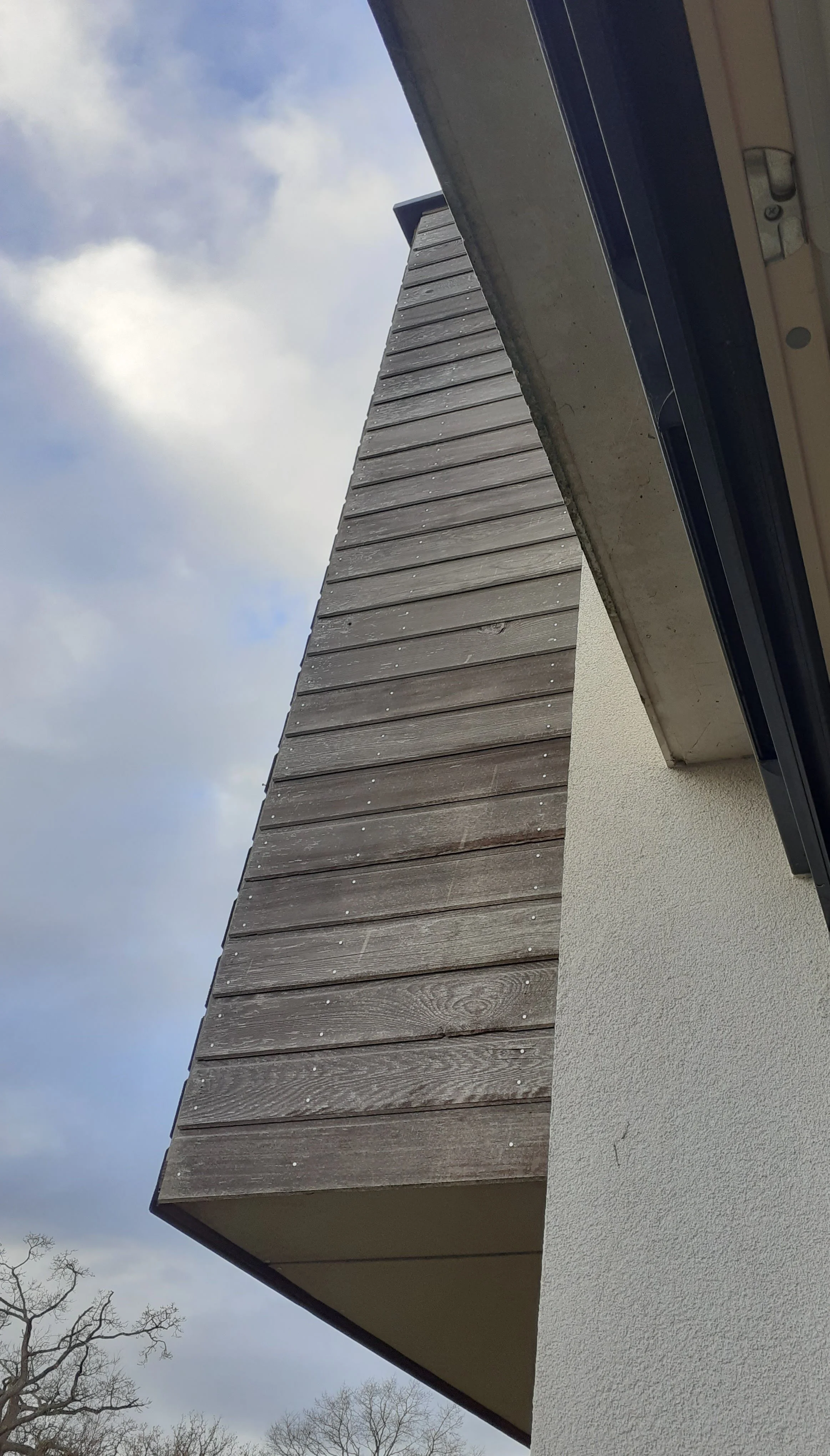 “Upward Angle” — Patricia Buckland