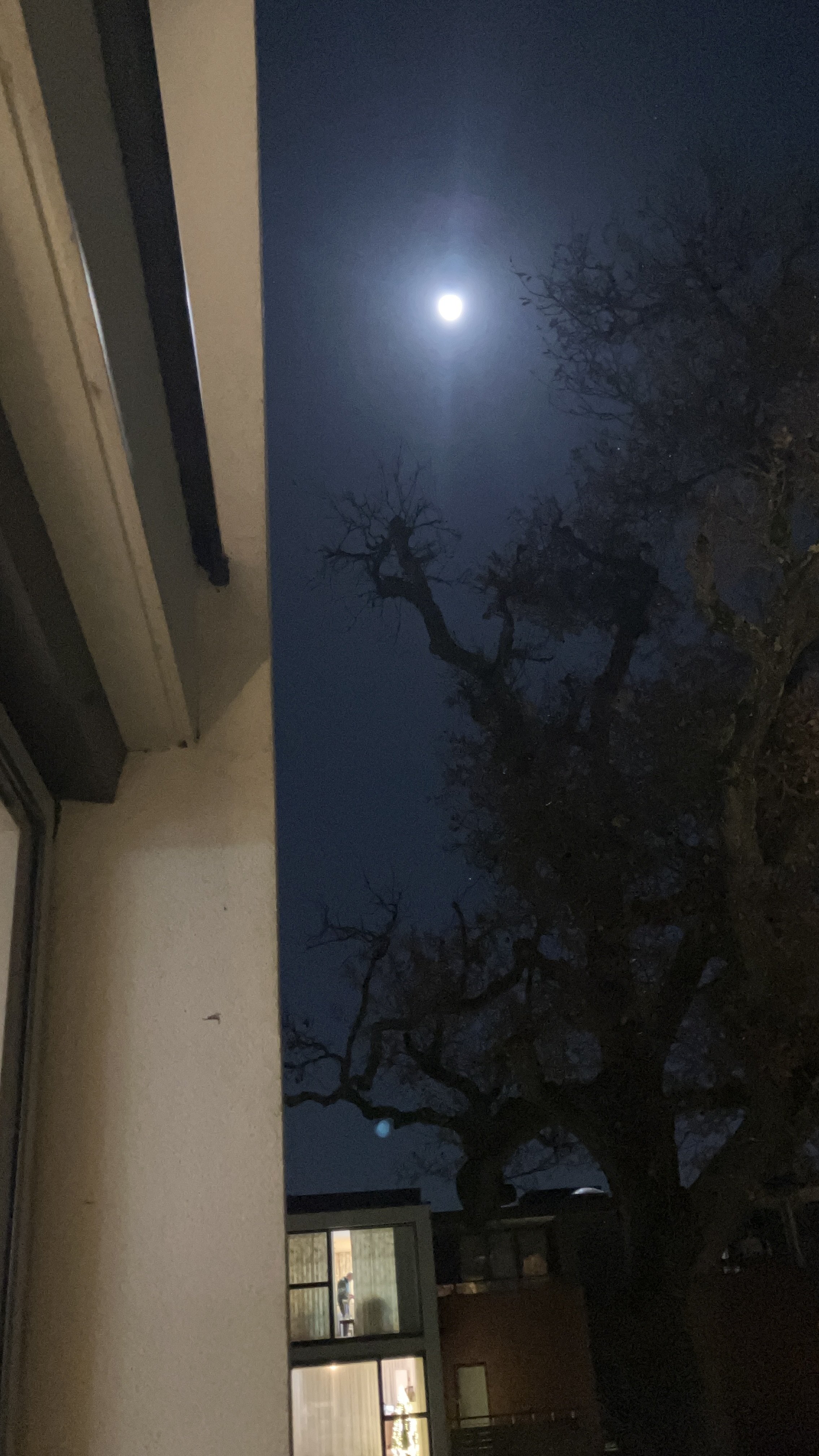 “Moon Behind Eaves” — Norman