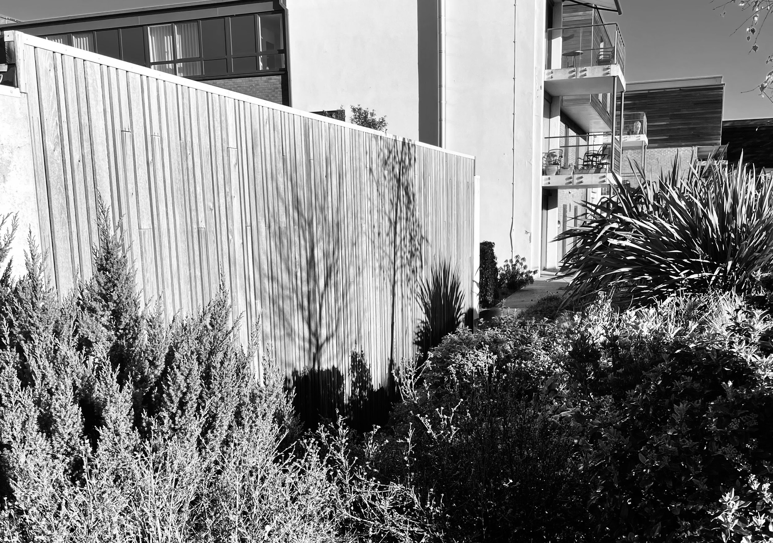 “Garden Shadows” — Diana Ross