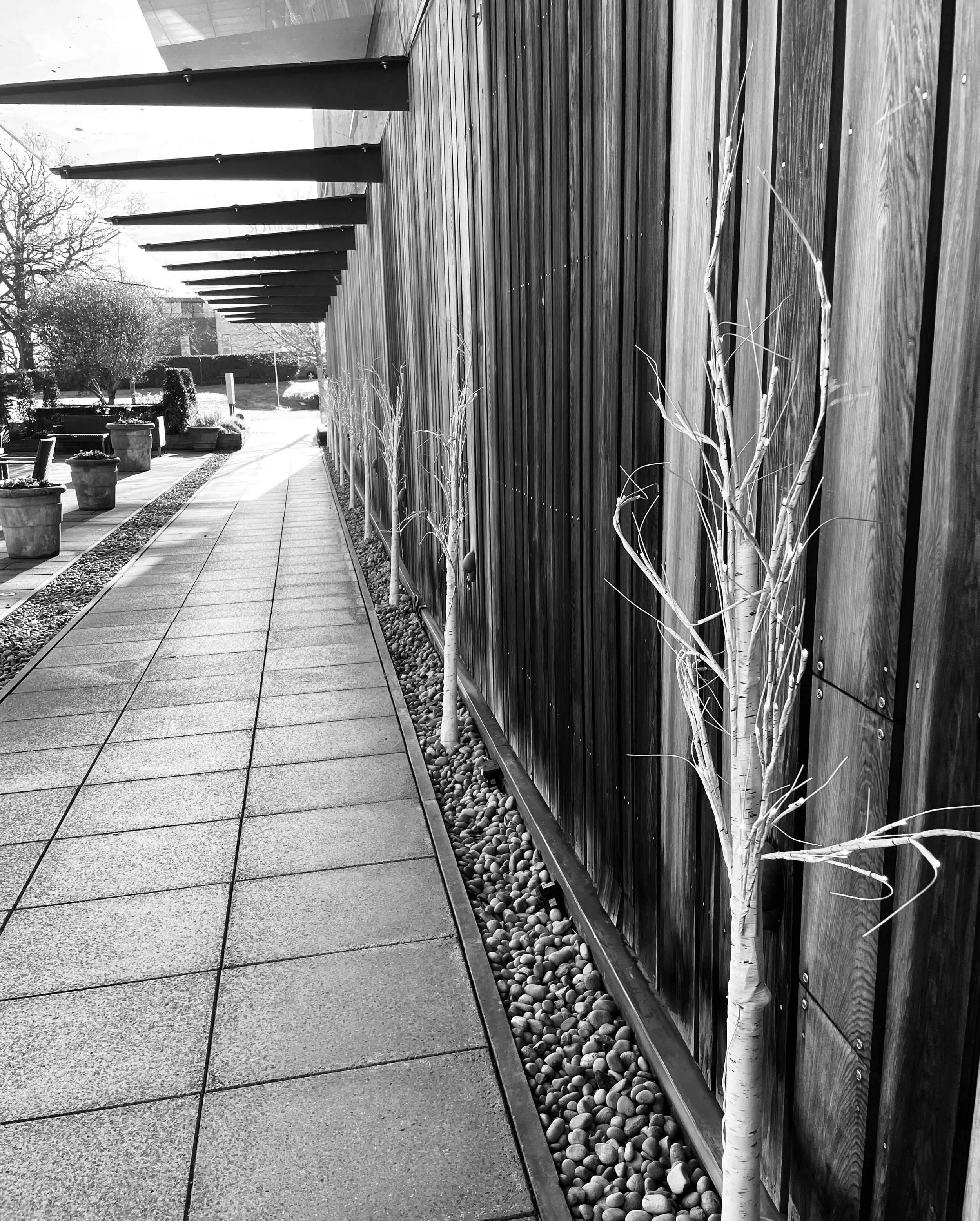 “Corridor Lines” — Diana Ross