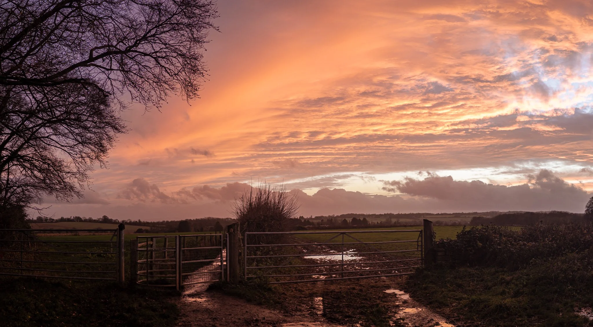 Vic Steadman – gate and muddy track at sunset