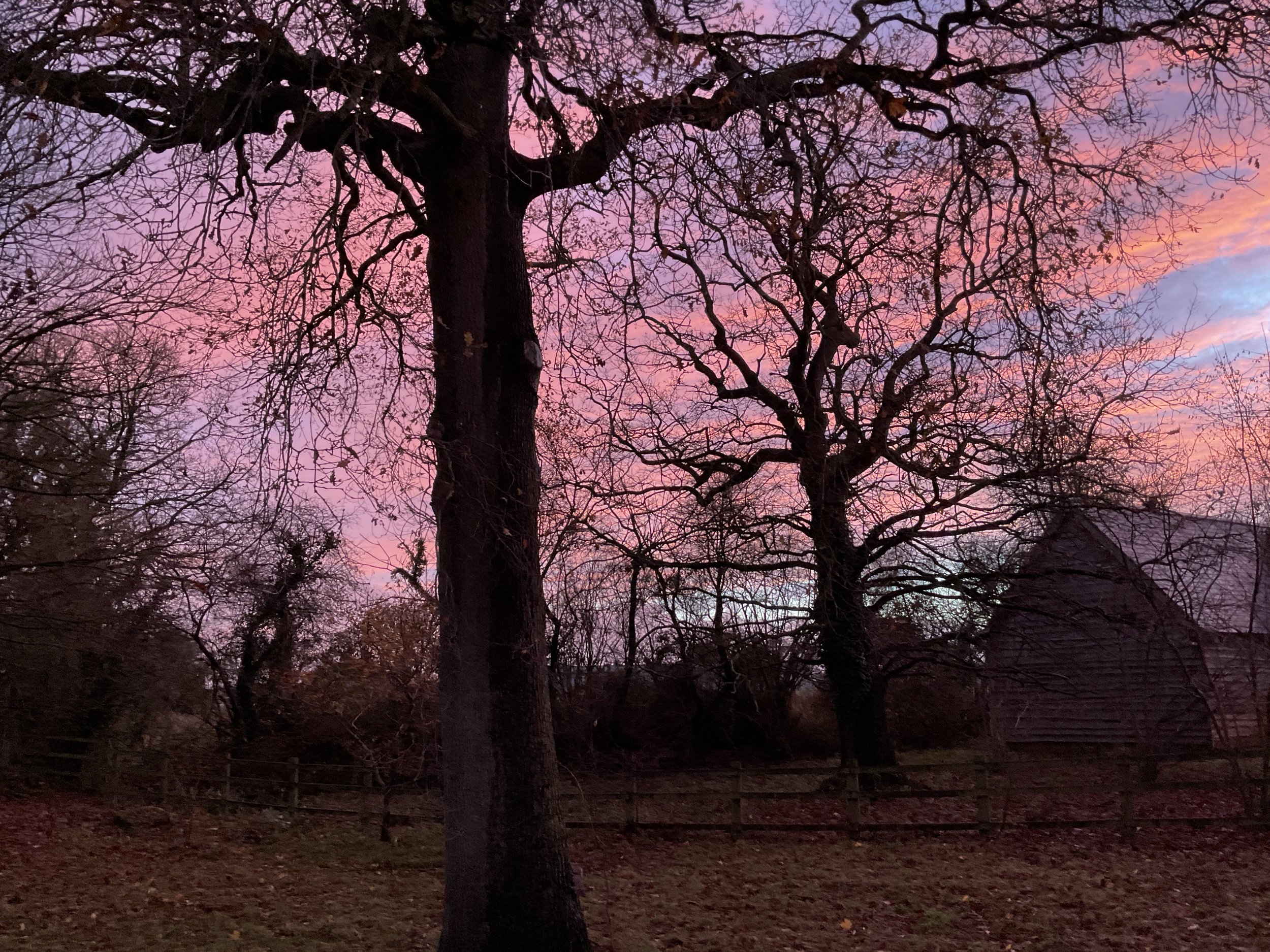 Sunset skies &amp; landscape silhouettes Sue Warren (two images)