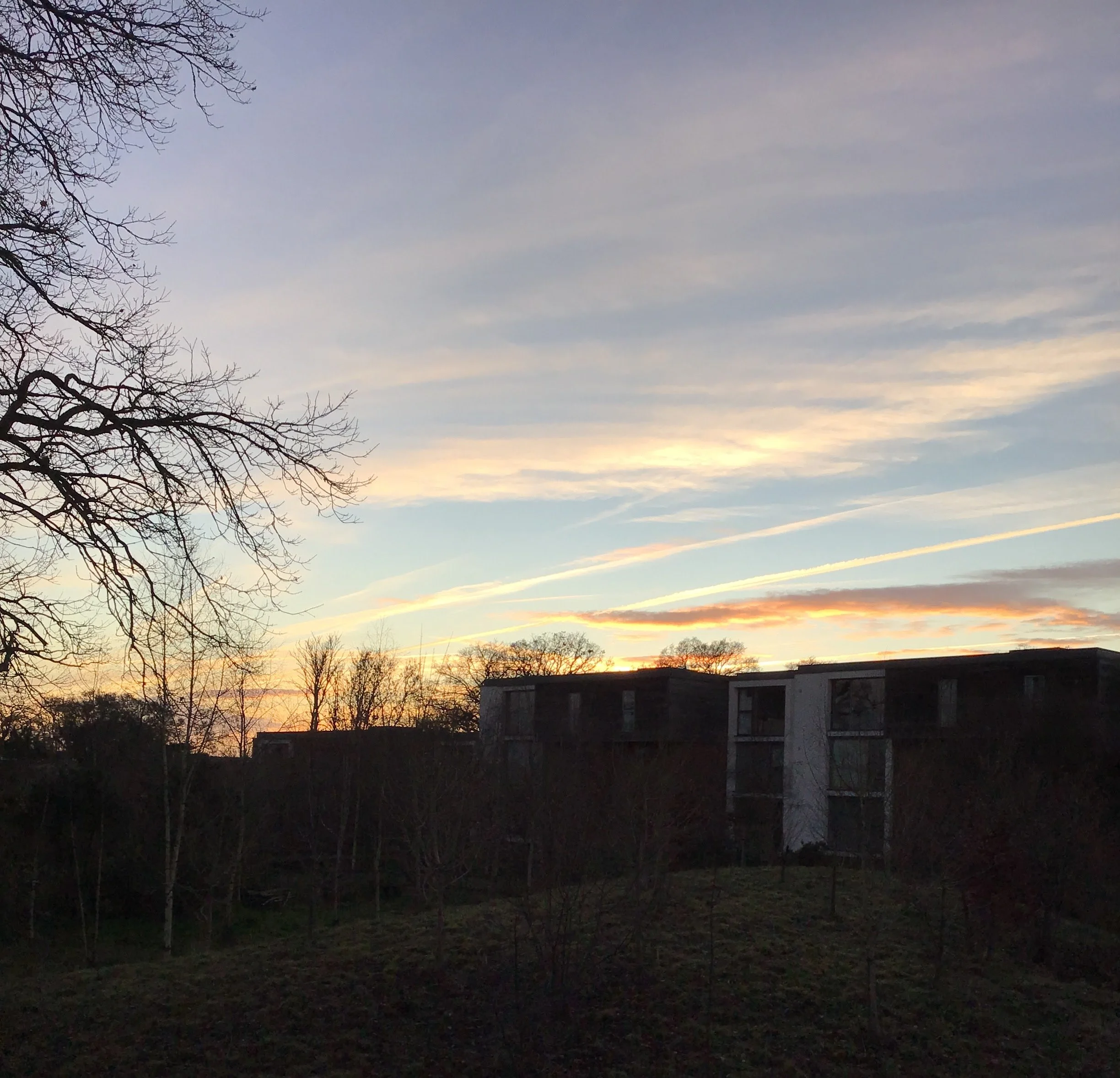 Patricia Buckland – winter sunset over buildings