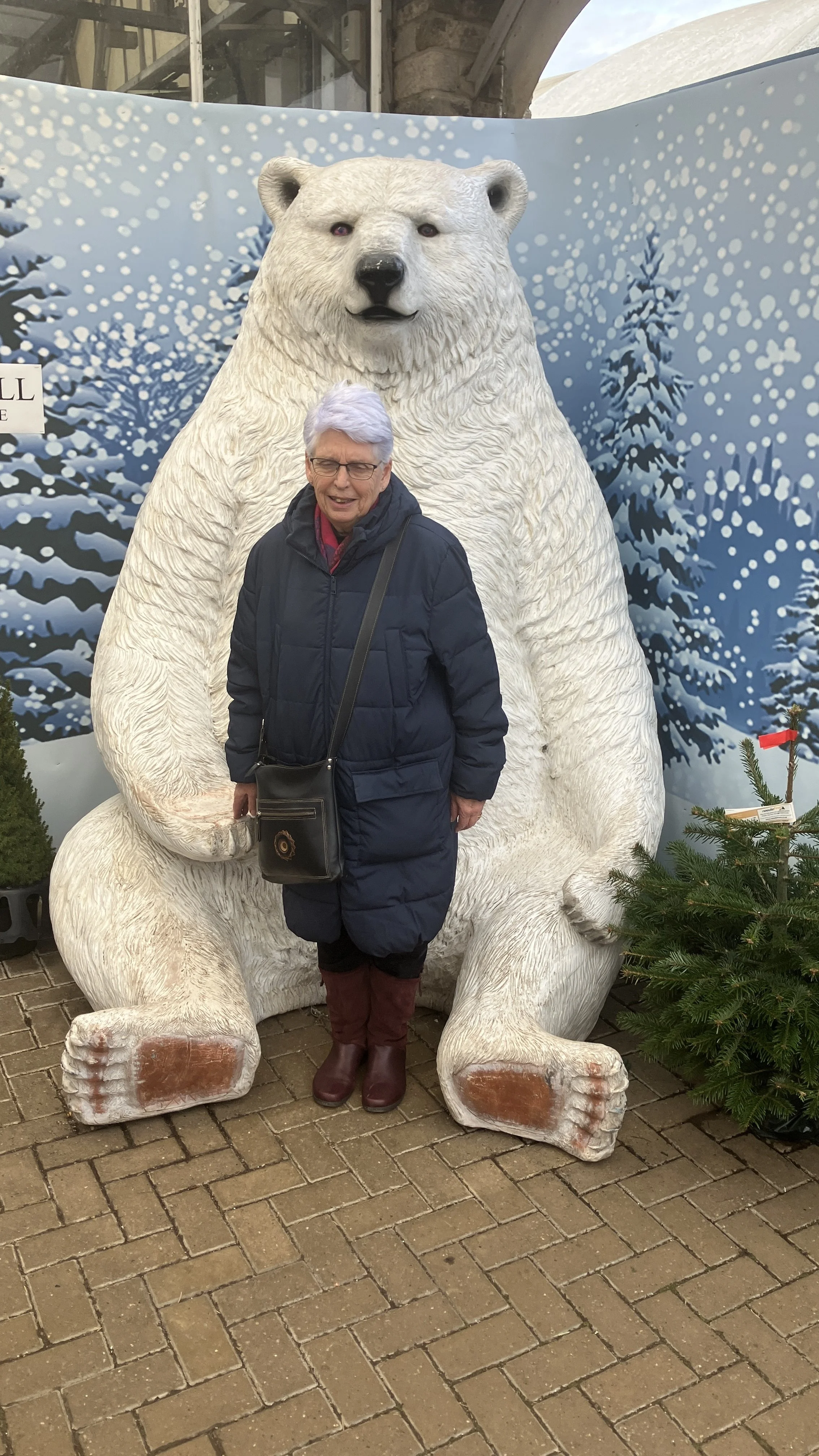 Norman – polar bear figure with person