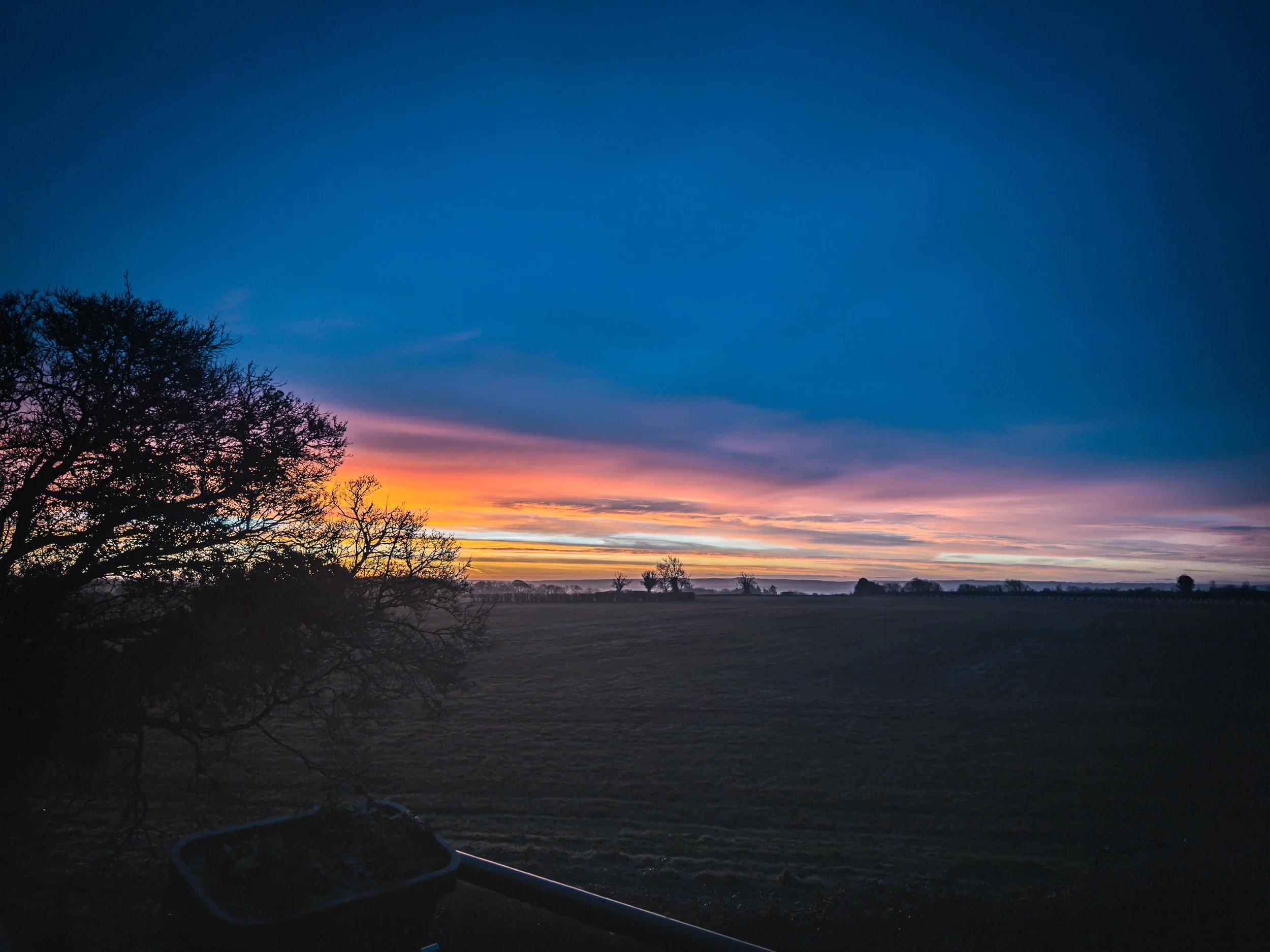 Vic Steadman – Blue Hour Over Open Fields