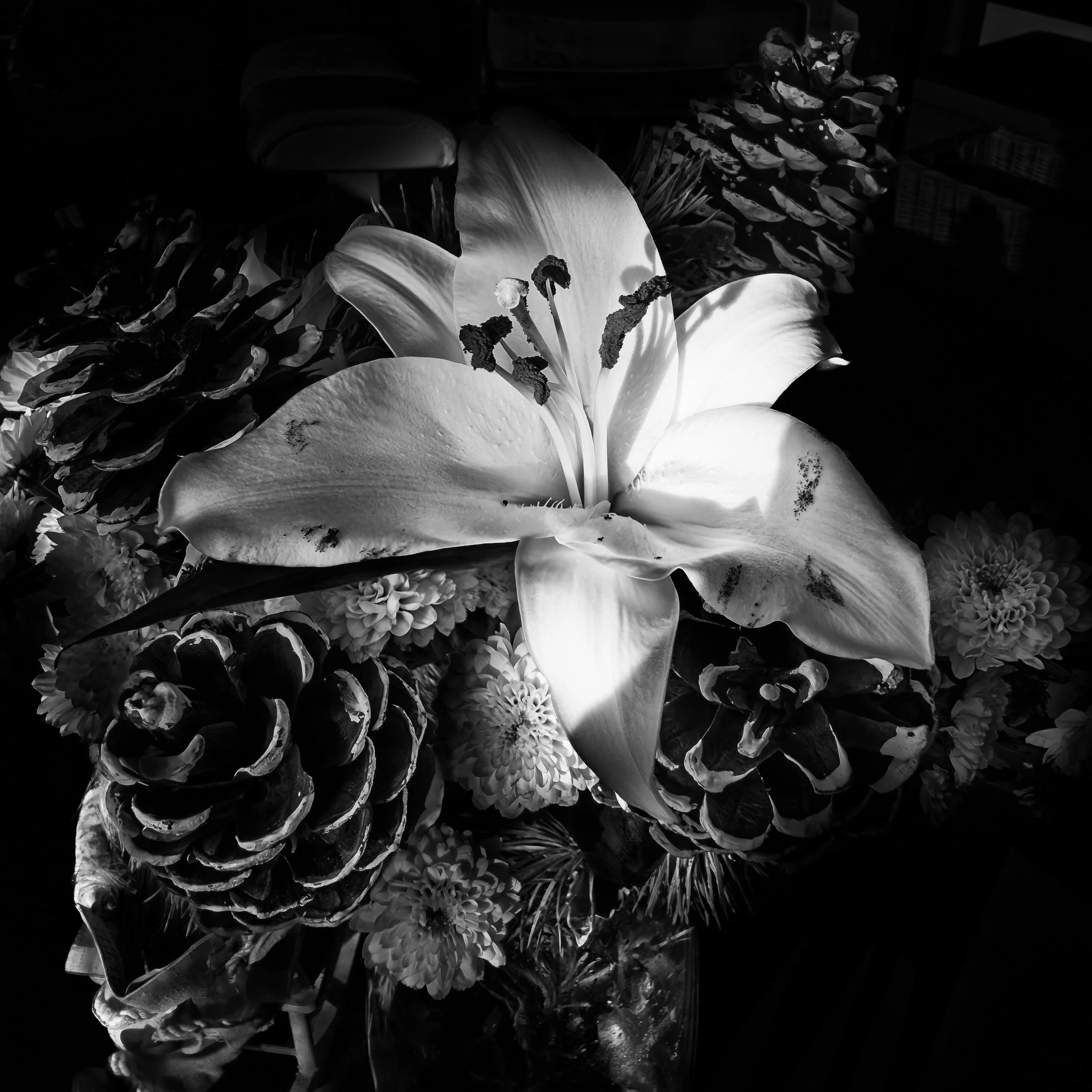 Vic Steadman – (White lily arrangement, monochrome)