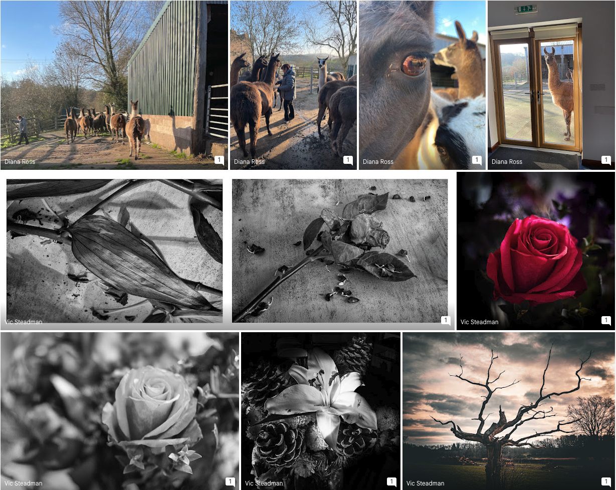 Untouched Weekly Review – 28 December 2025,