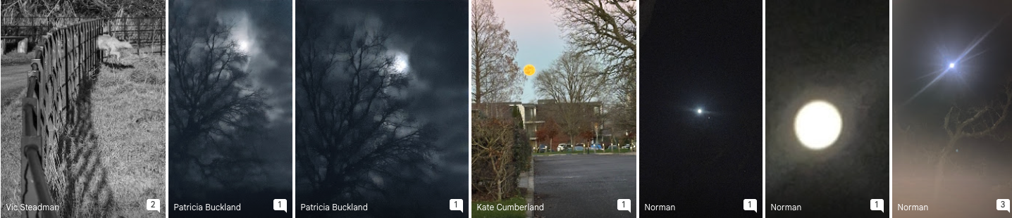 Untouched Weekly Review 11 Jan 2026