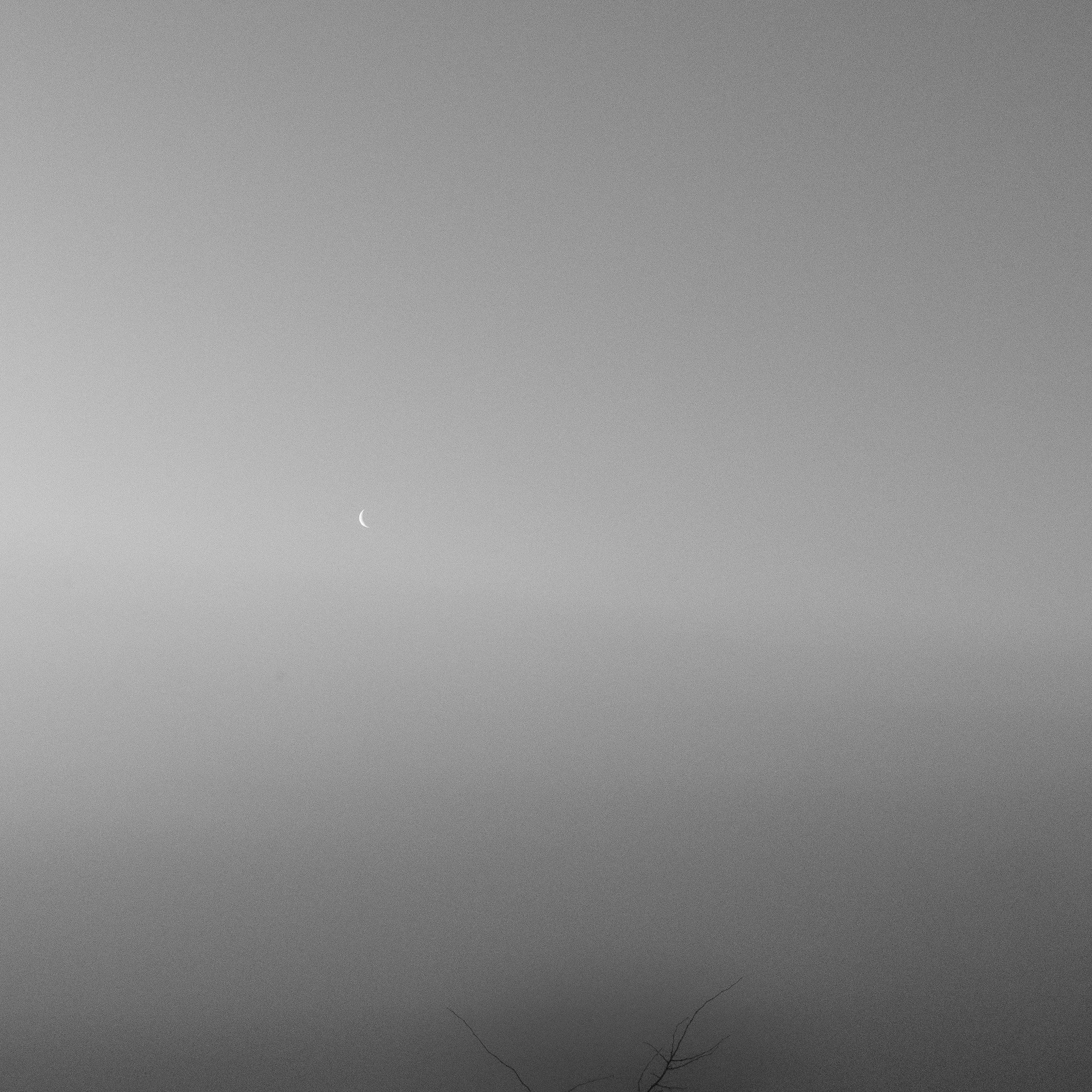 Vic Steadman – Moon in the Mist