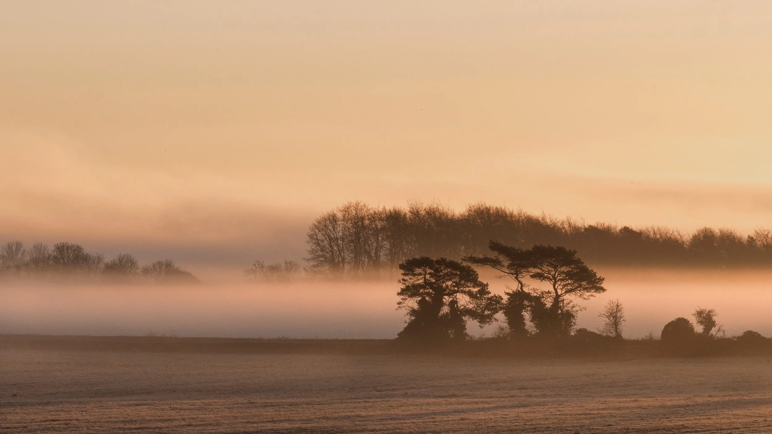 Tim Ravenscroft – Misty Dawn Silhouettes