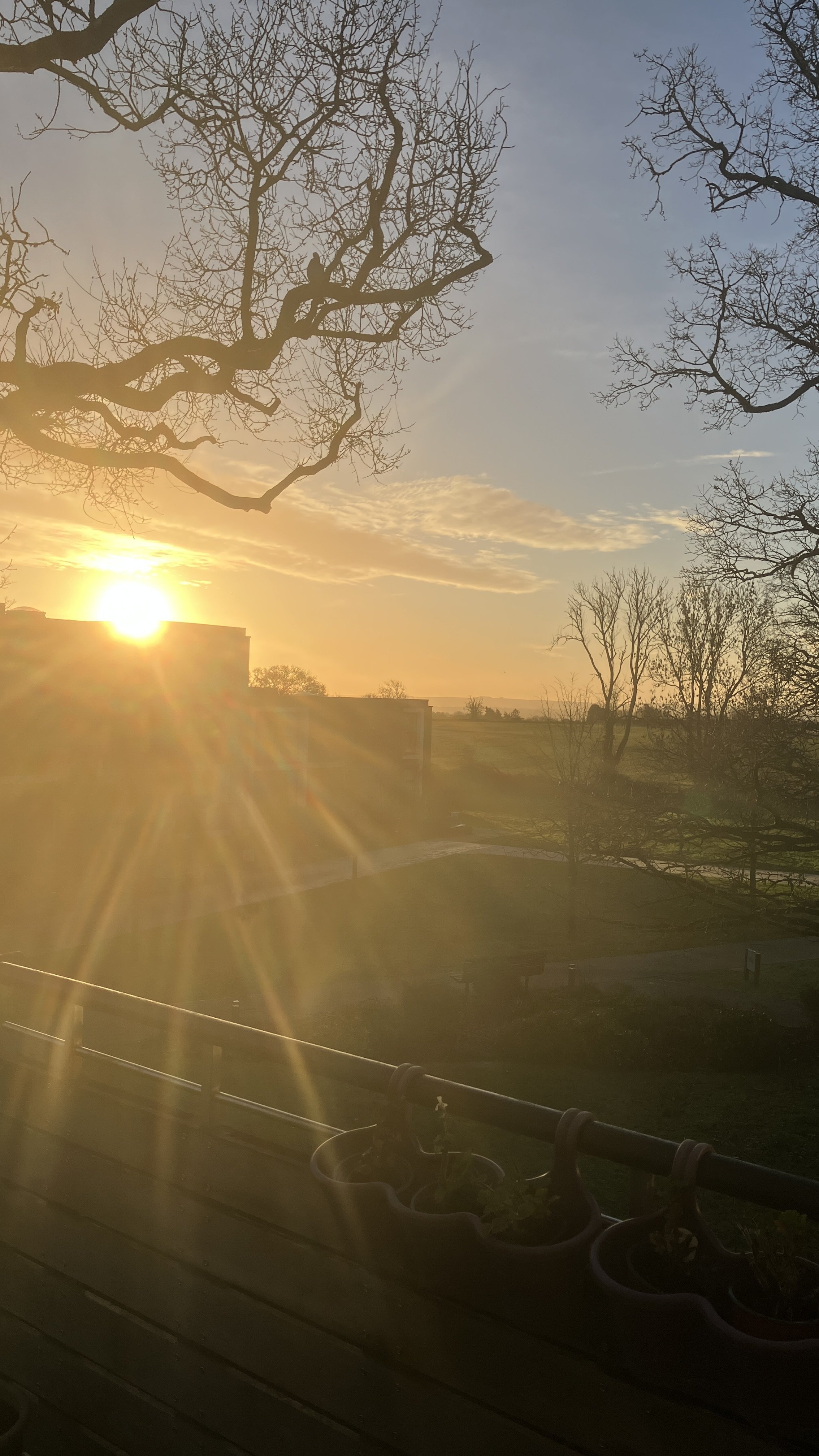 Norman – Setting Sun Flare