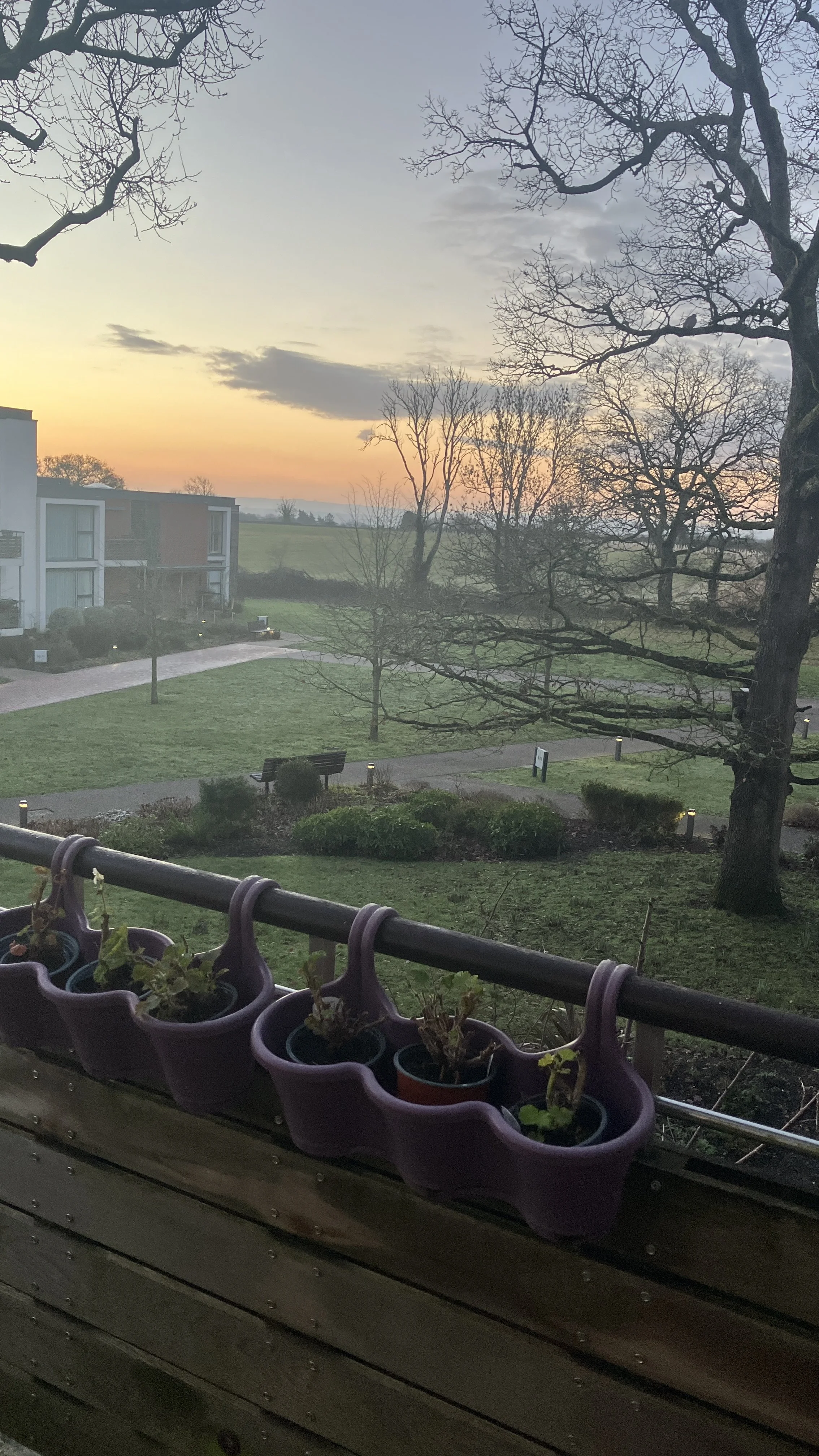 Norman – Balcony at Dusk