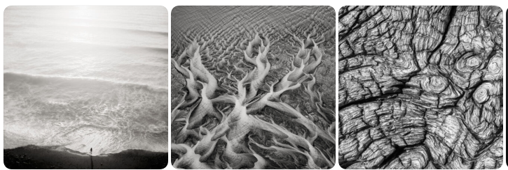 Featured Photographer: Jeffrey Conley