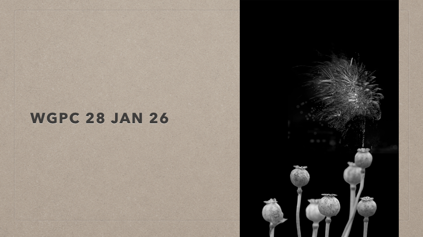 Meeting Notes 28 Jan 2026