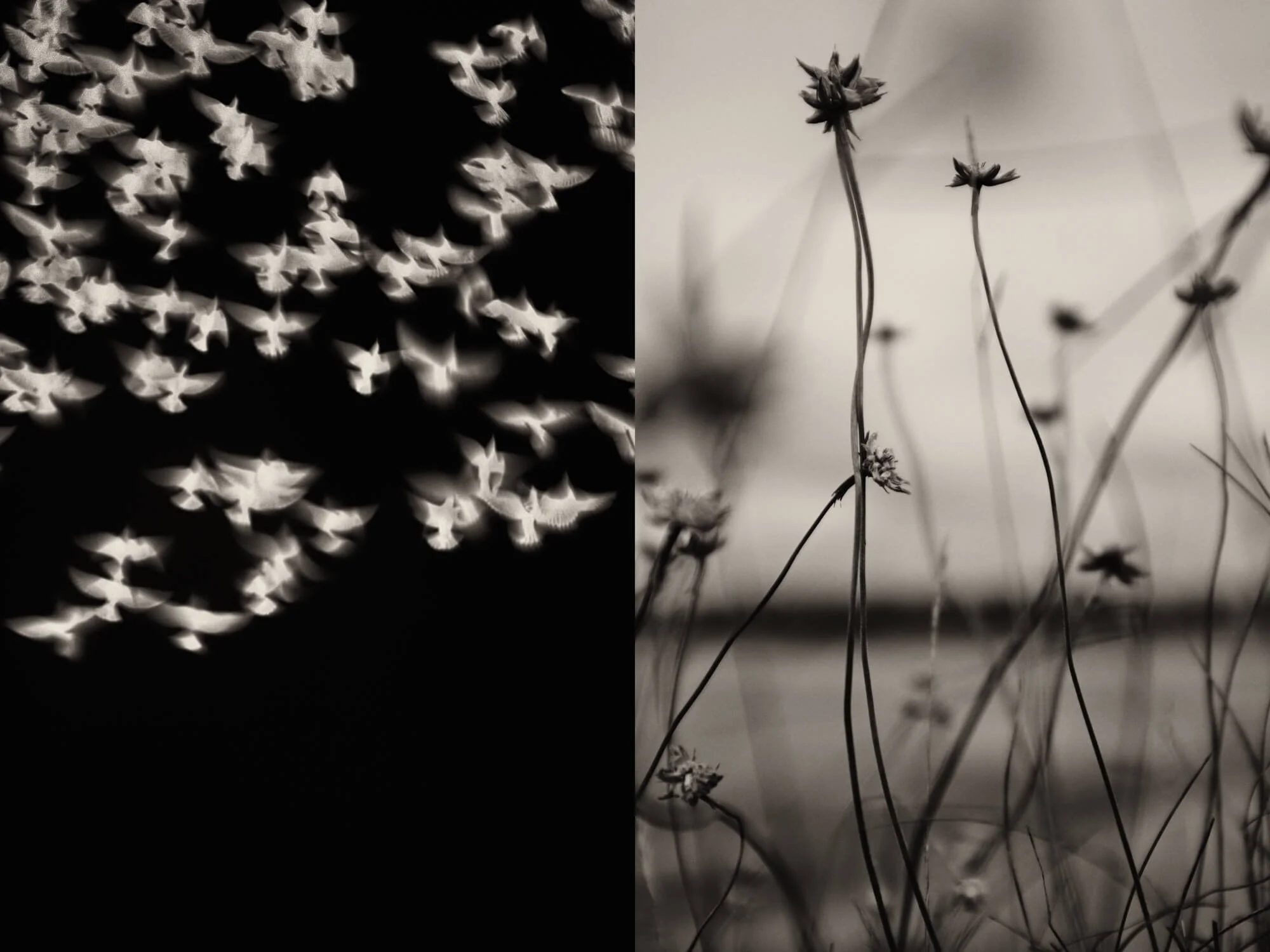 Photographer Spotlight: Jaume Llorens