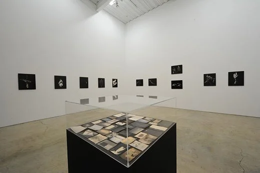 Photographer Focus: Masao Yamamoto — The Beauty of Quiet Things