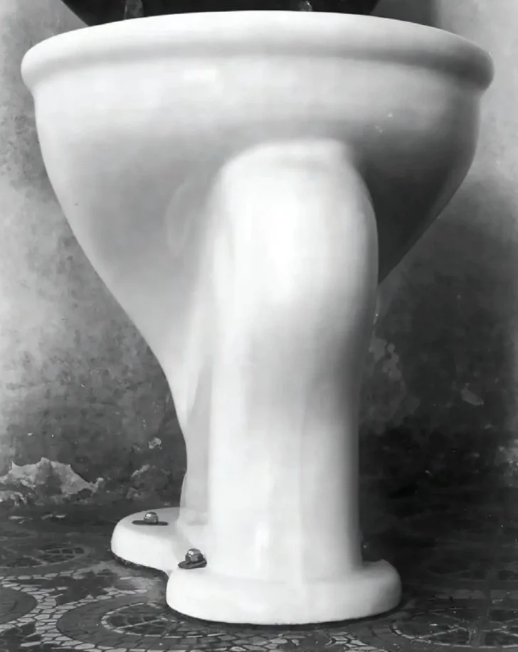 One Form, Three Subjects: Reading Weston Across Body, Shell and Object