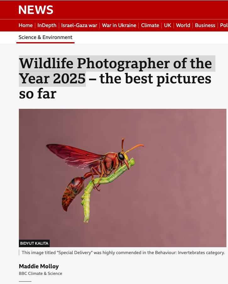 Wildlife Photographer of the Year 2025