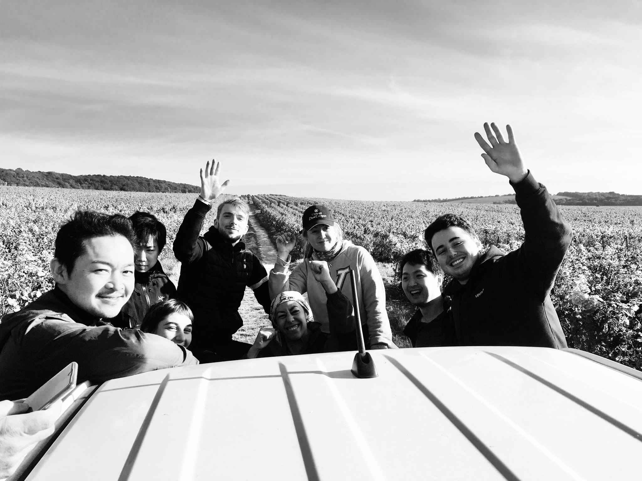 Champagne harvest 2021 is party time at David Léclapart