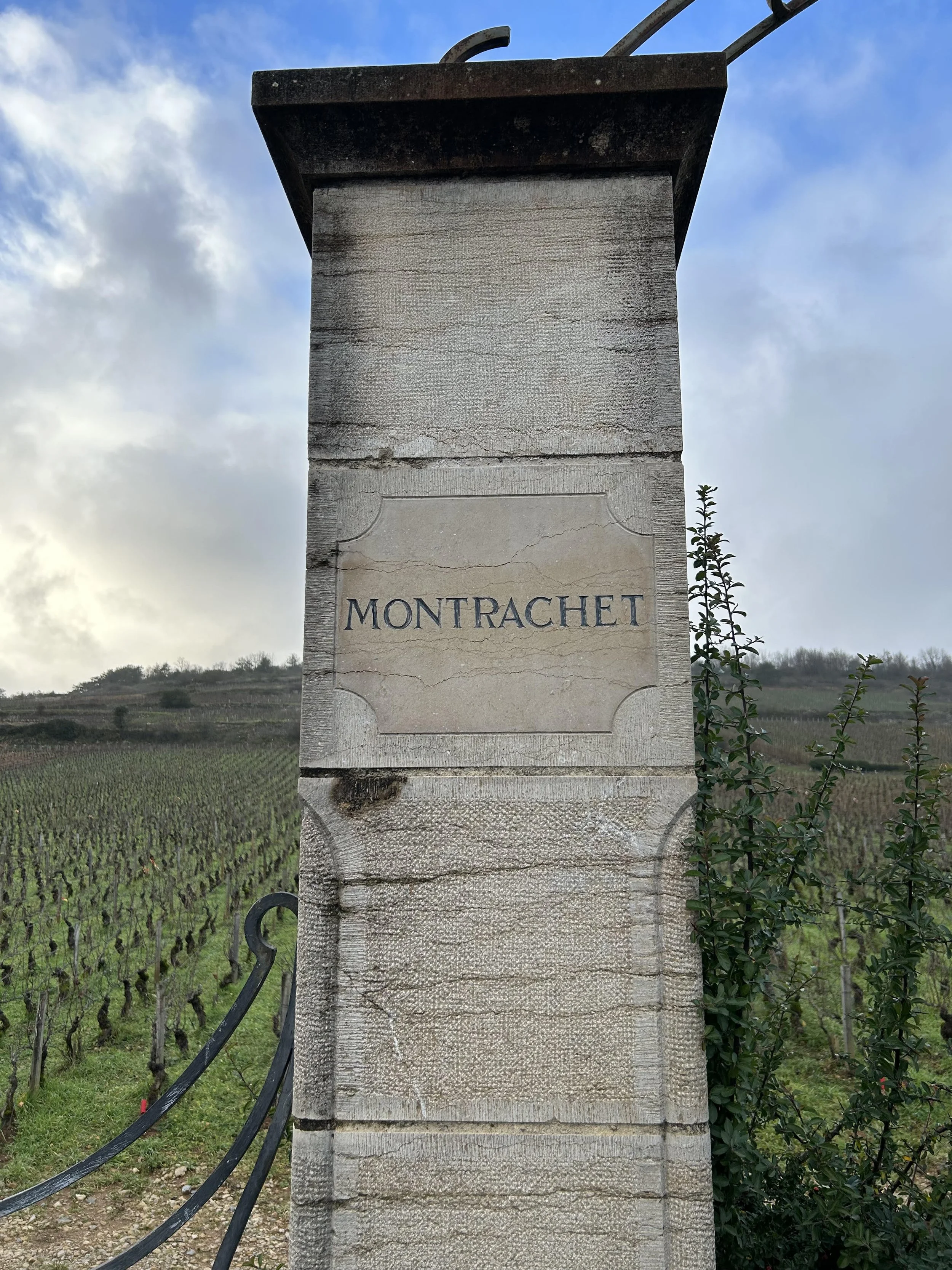 Exploring Burgundy - a journey along my favourite places