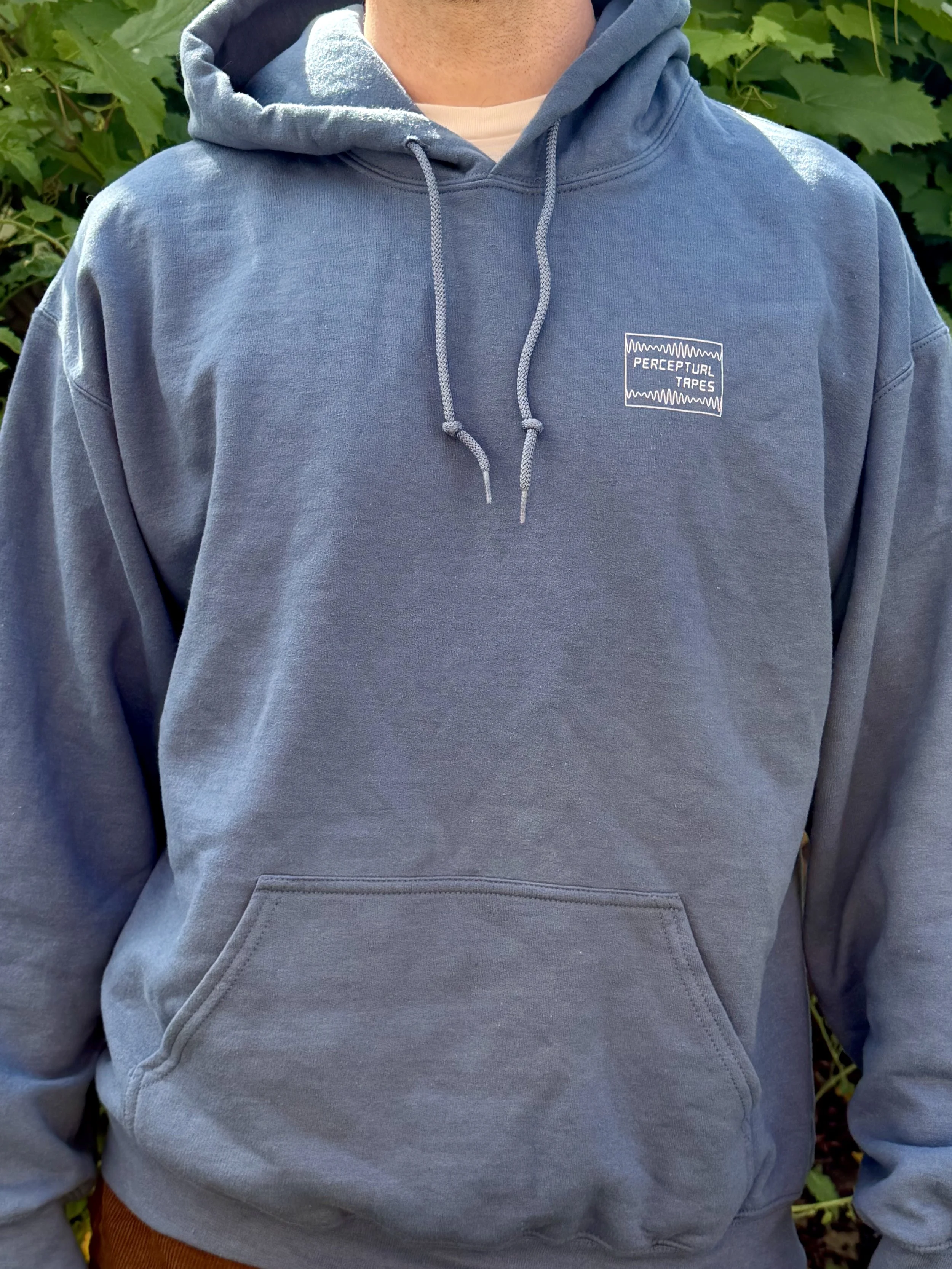 hoodie blue front.jpeg