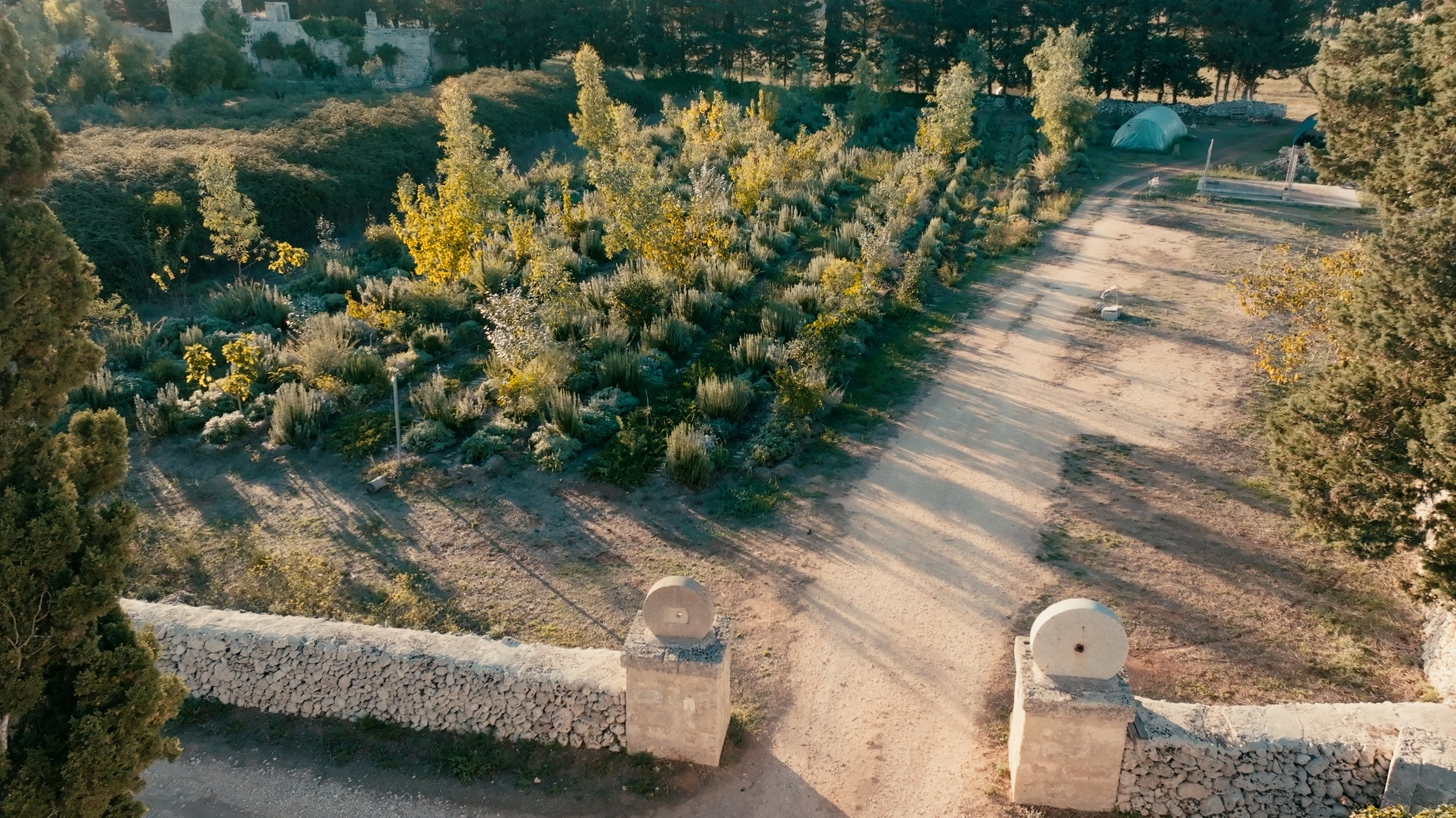 D-25-09-12_orto_amadeco.jpg