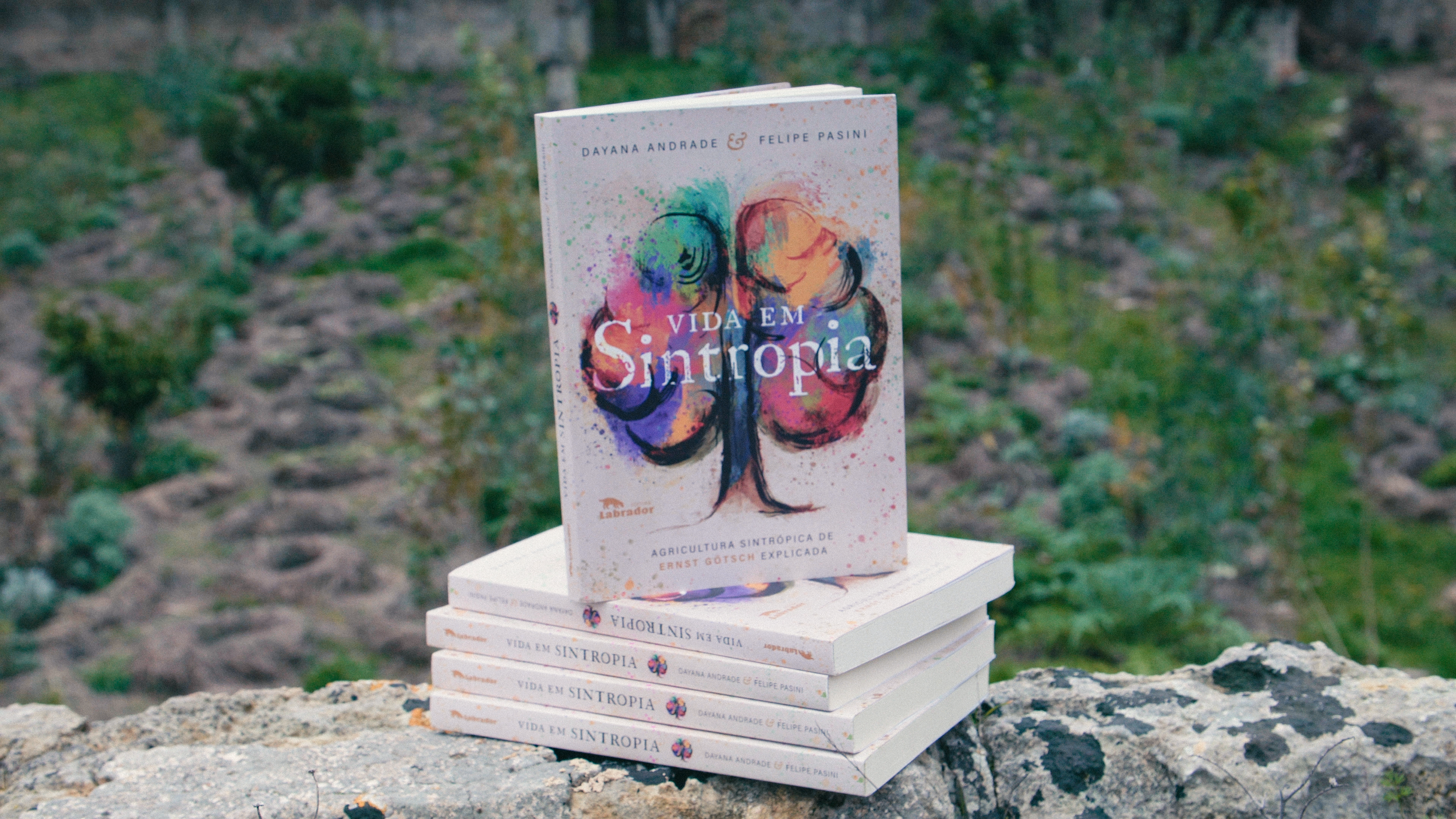 A stack of books titled "Vida em Sintropia" by Dayana Andrade and Felipe Pasini, with a colorful tree design on the cover, placed on a natural stone surface outdoors.
