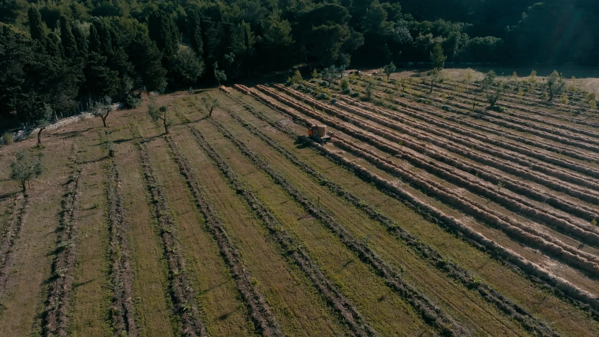 Aerial view of a farm with a tractor working in the fields, surrounded by greenery and trees.
