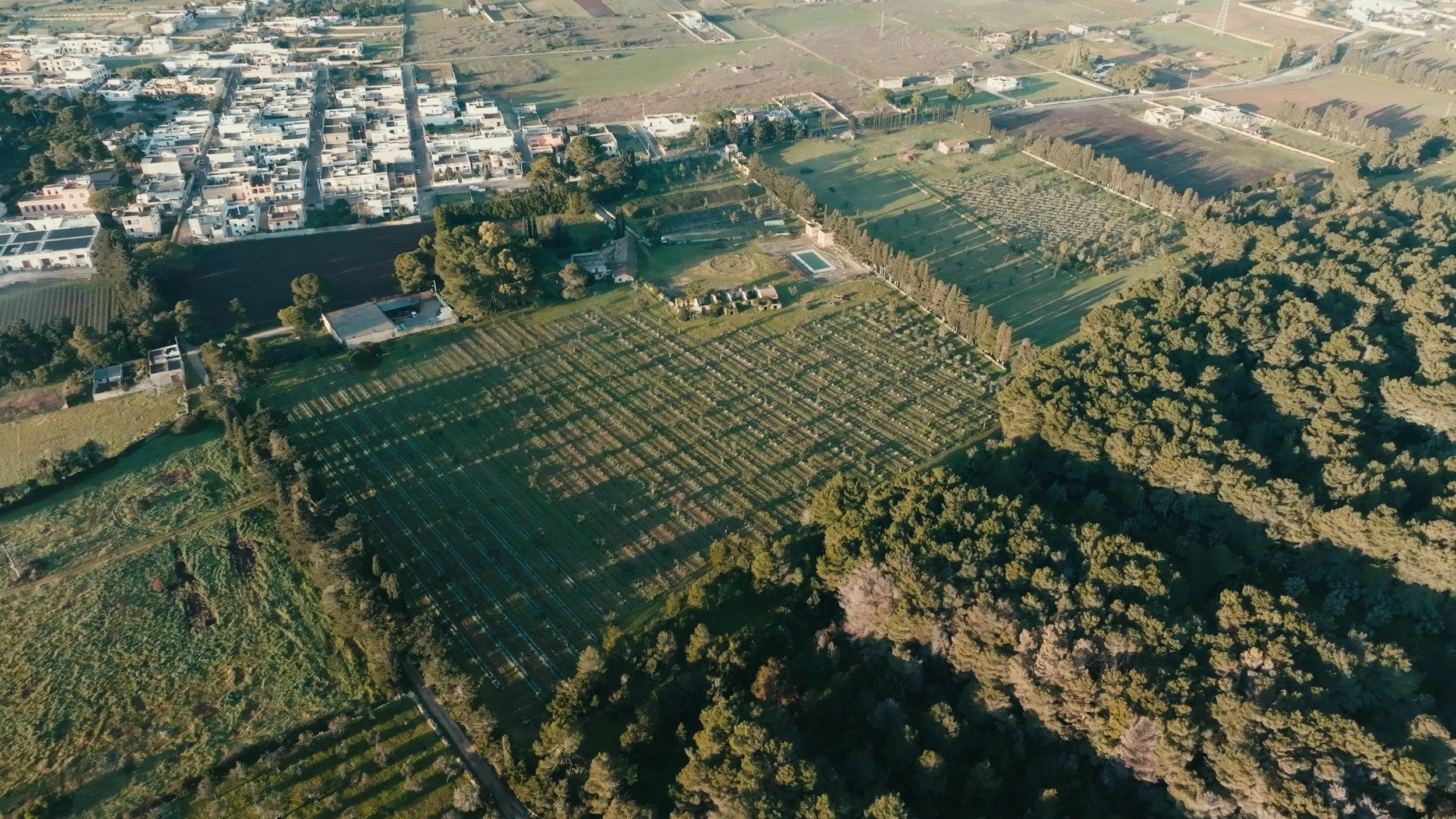 Aerial view of a rural landscape with white residential buildings, farms, green fields, and trees.