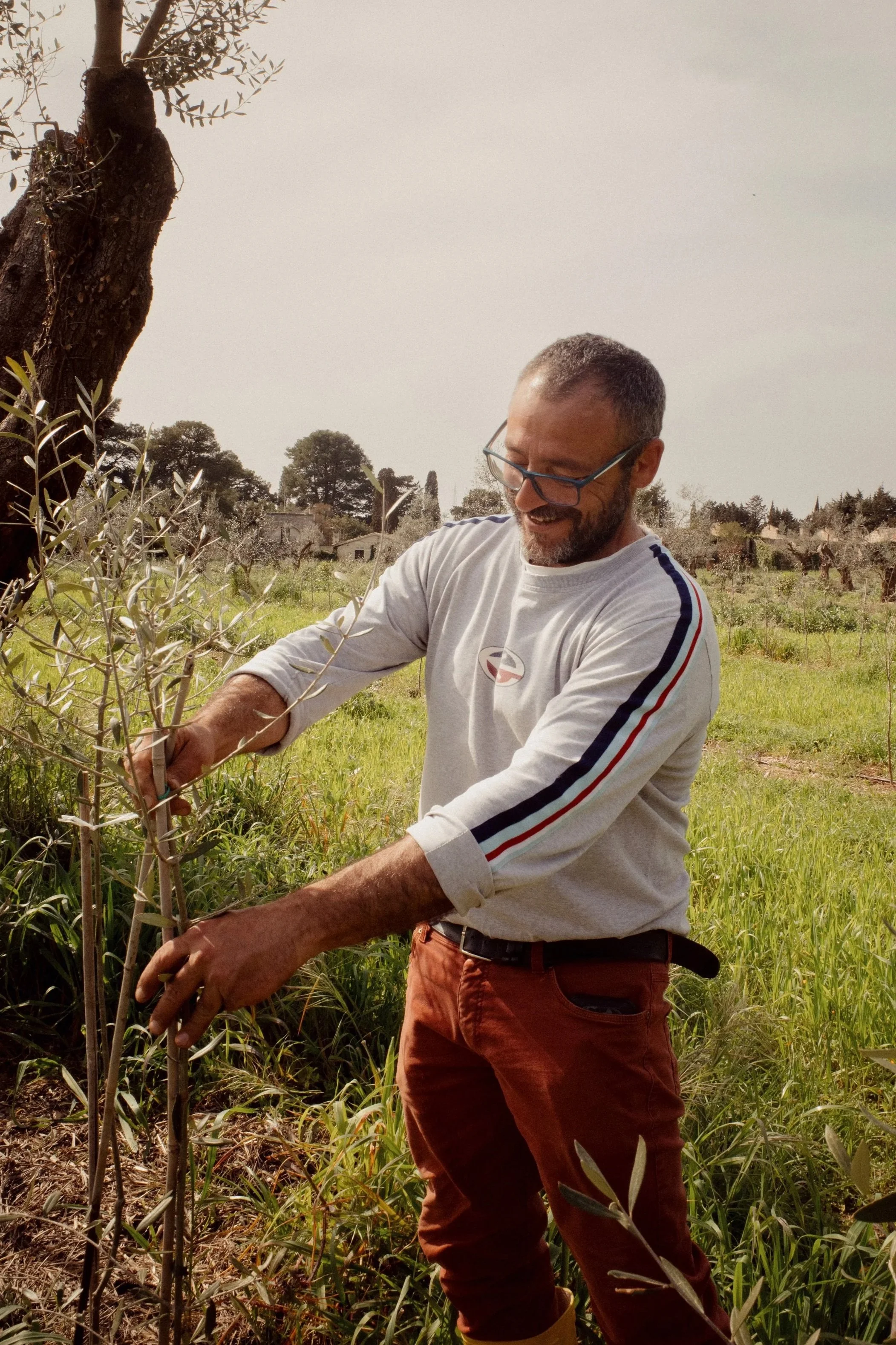A man with glasses and a beard prunes a small tree in a grassy field, with other trees and buildings in the background during daytime.