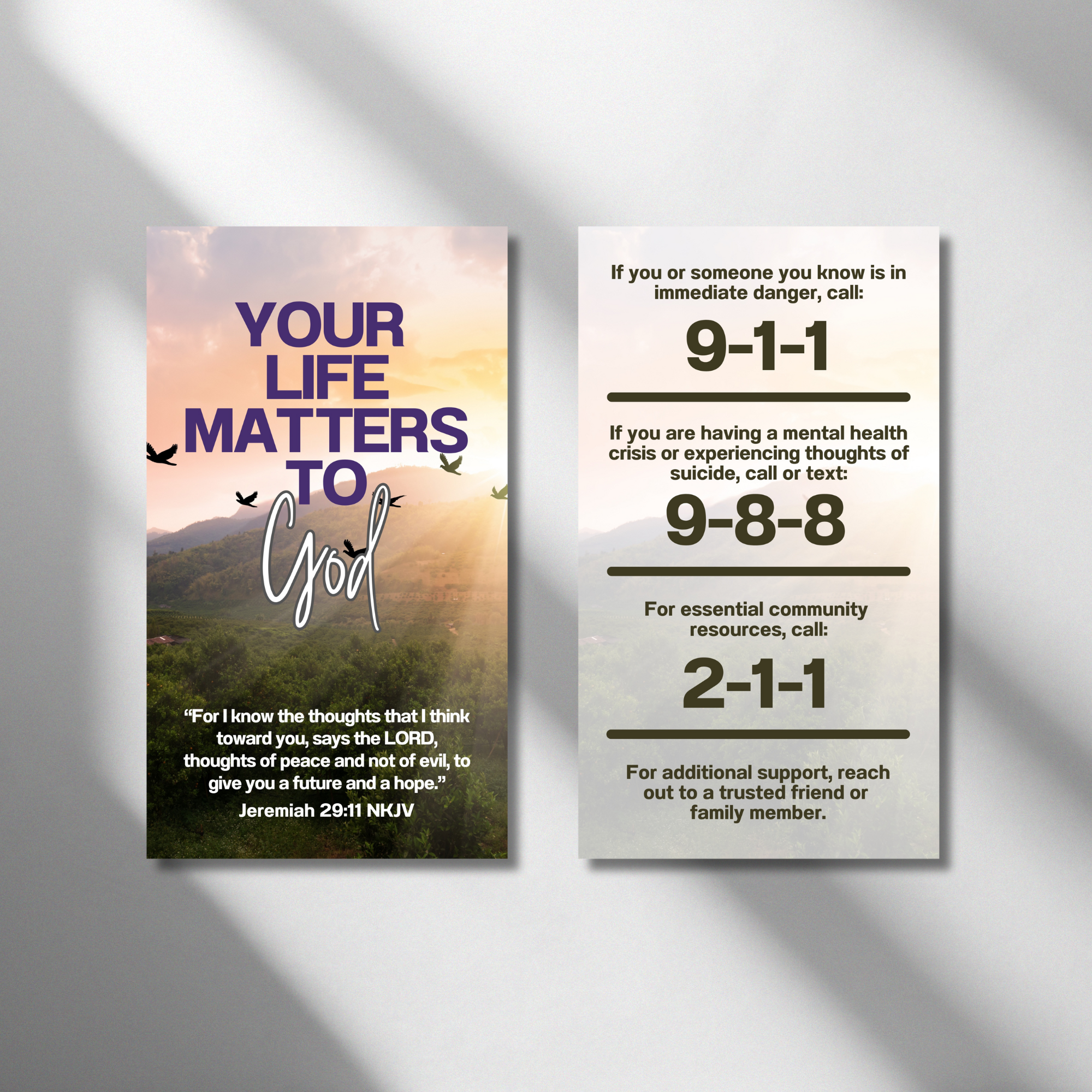 Crisis Card Mockup.png