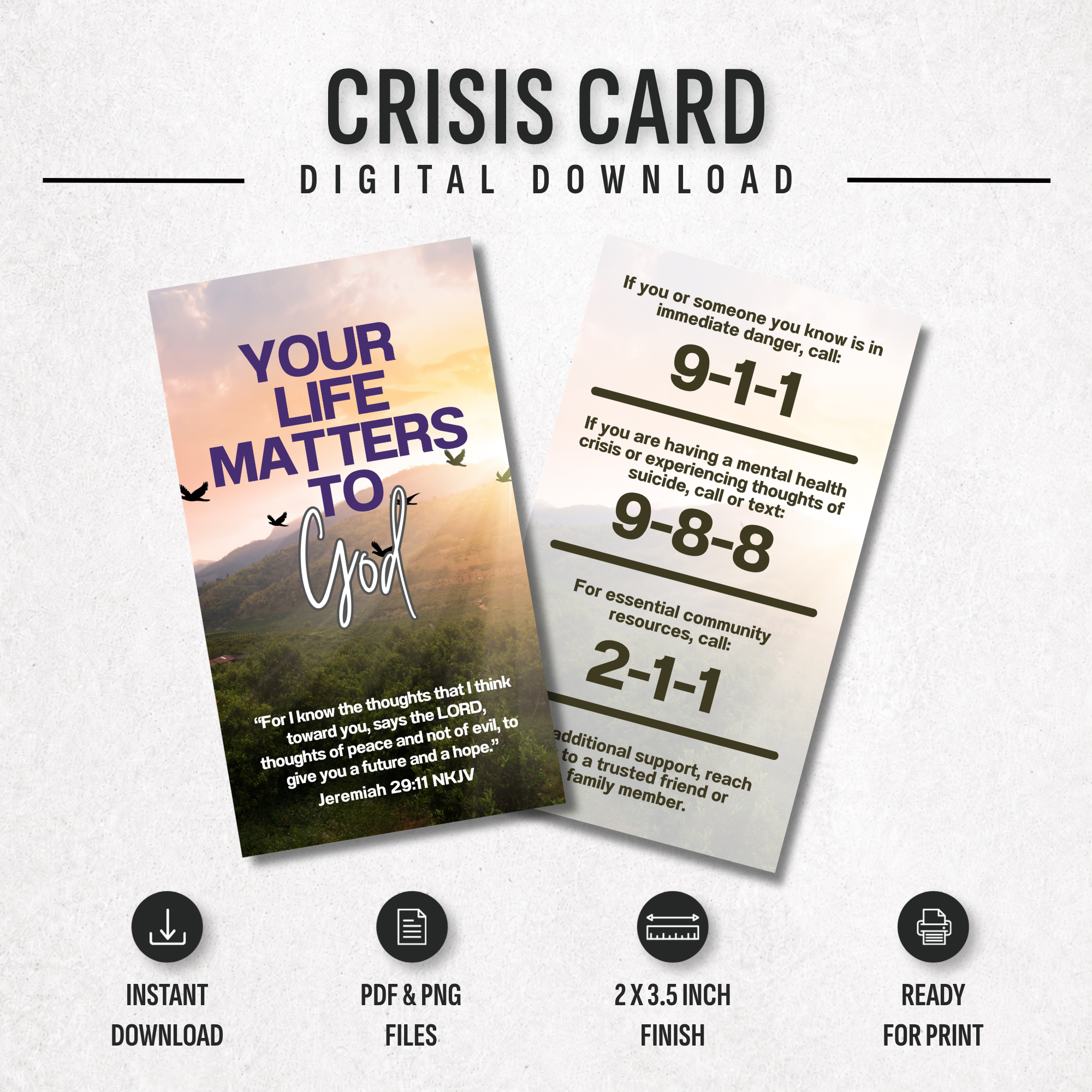 Crisis Card Mockup.png