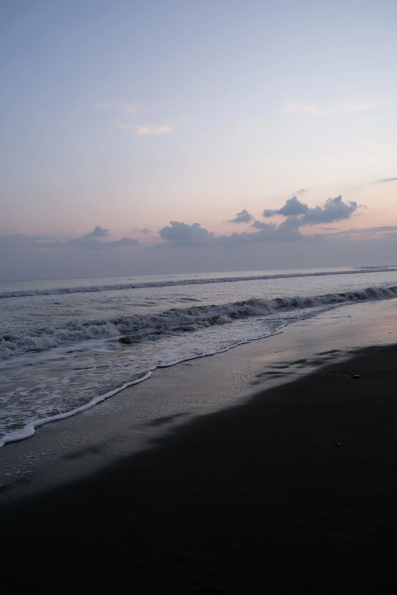 DSCF8336.jpg