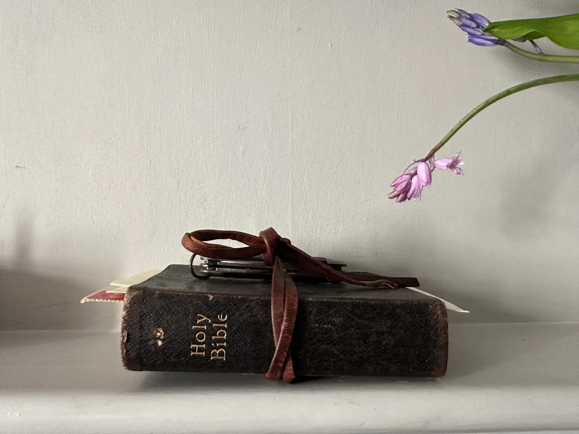 WhatsApp Image 2025-02-02 at 18.50.03 (1).jpeg