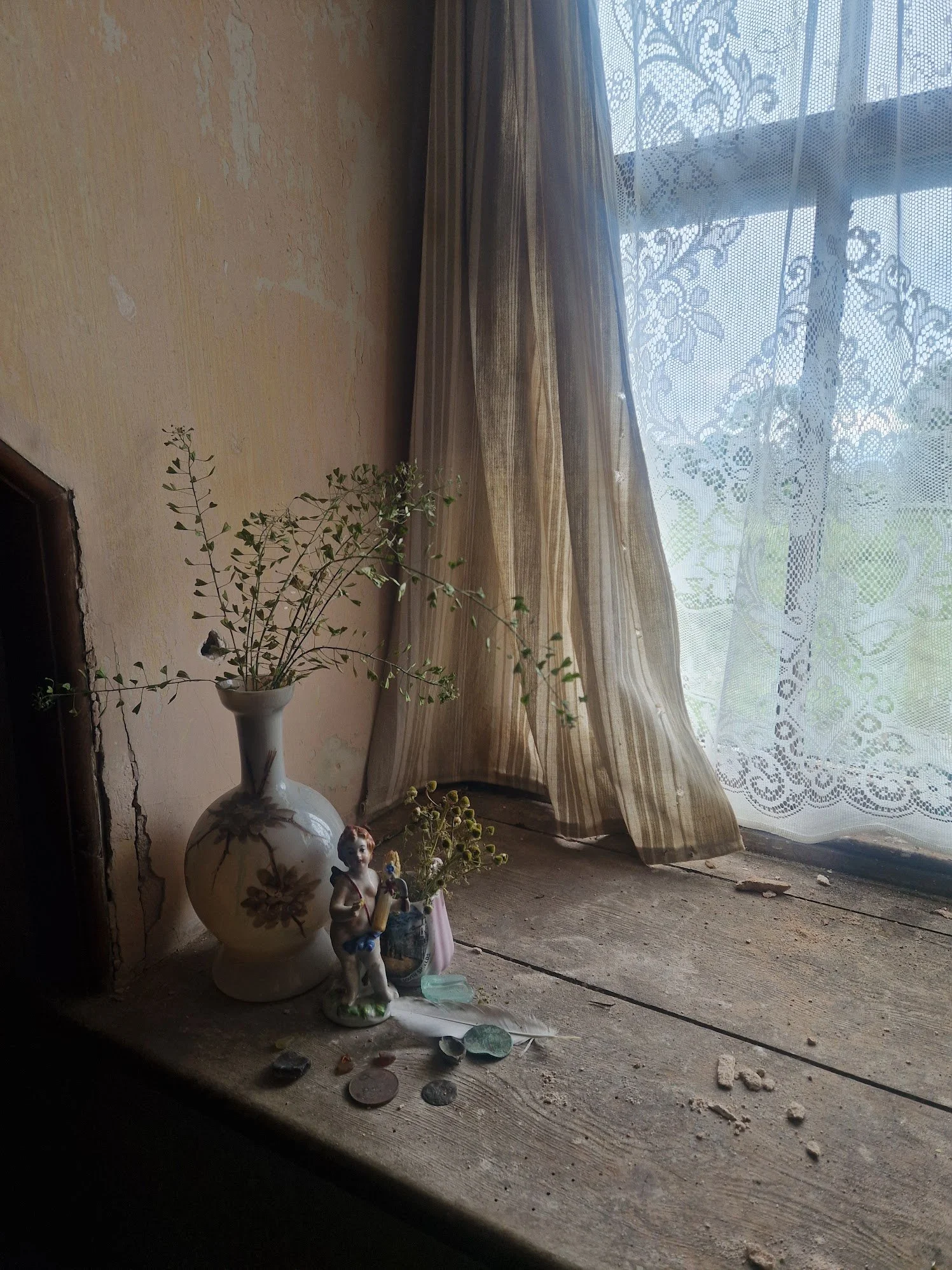 islas window ledge.jpg