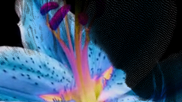 11.png